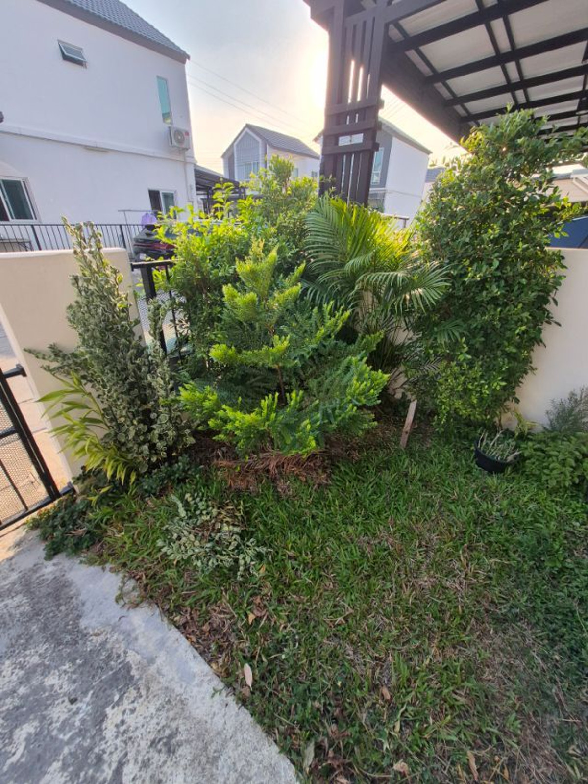 For RentHouseLadkrabang, Suwannaphum Airport : ⚡ For rent, 2-story detached house, The Connect Bangna - Wongwaen, size 25 sq m. ⚡