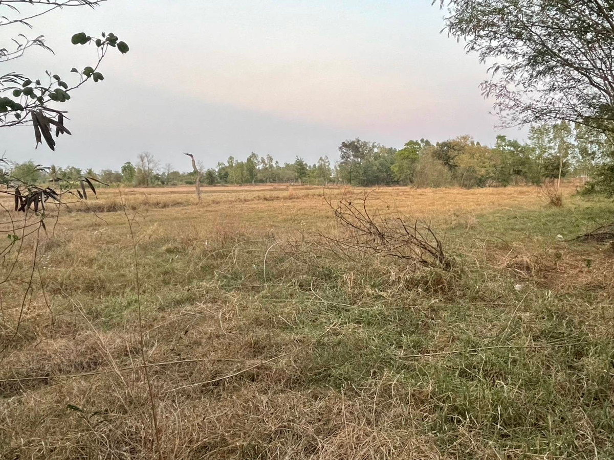 ขายที่ดินมหาสารคาม : ขายที่ดิน เนื้อที่ 3 ไร่ บ้านโนนแสง ต.ท่าขอนยาง อ.กันทรวิชัย จ.มหาสารคาม