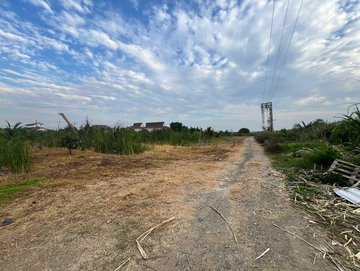 ขายที่ดินลาดกระบัง สุวรรณภูมิ : ที่ดิน ซอยลาดกระบัง 40/1 / (ขาย), Land Soi Lat Krabang 40/1 / (FOR SALE) BZD154