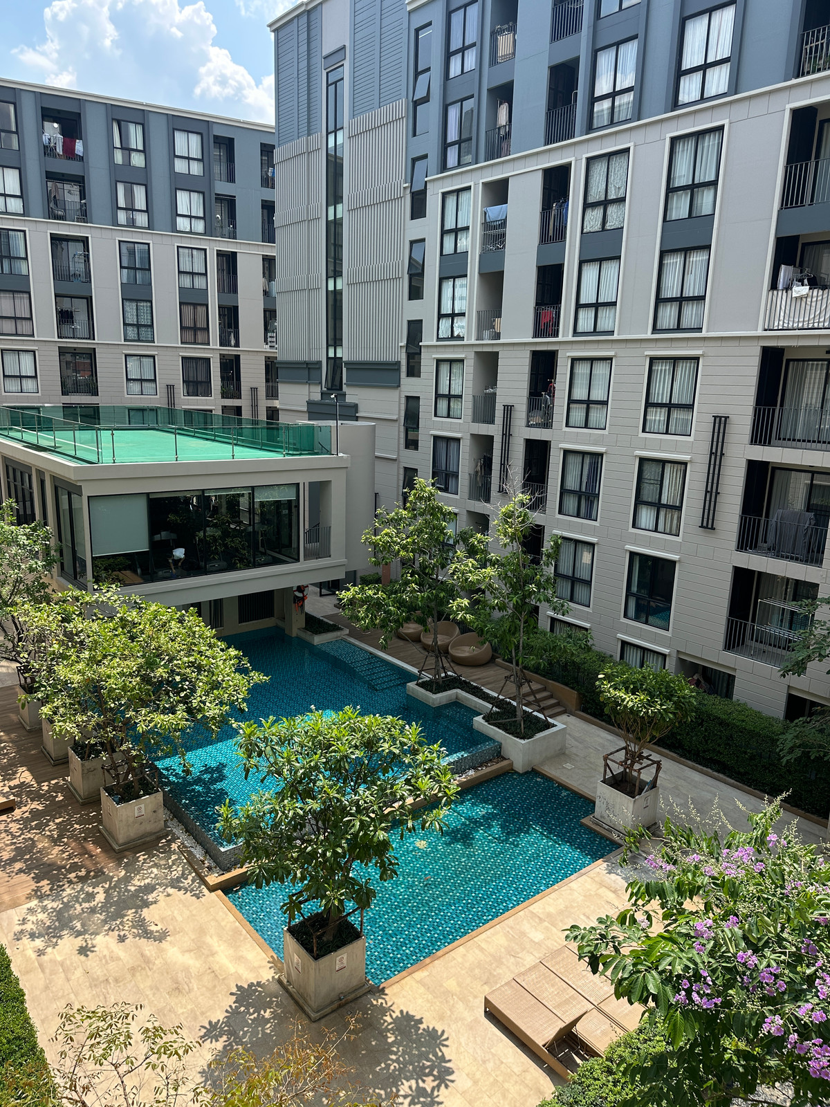 For RentCondoRama9, Petchburi, RCA : 🐾 [Owner Post] Condo for rent Maestro 03 Ratchada - large room, pool view, 100% pet friendly! 🐶🐱