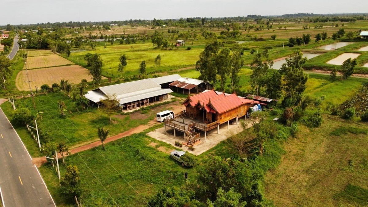 For SaleLandRoi Et : Roi Et Provincial Administrative Organization Road