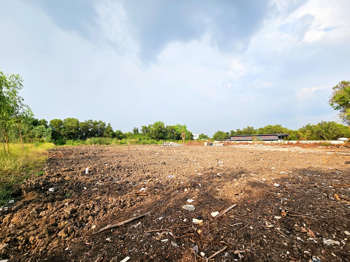 ขายที่ดินปทุมธานี รังสิต ธรรมศาสตร์ : ขาย ที่ดินเปล่า 6 ไร่ คลอง 3 อ.คลองหลวง ปทุมธานี ถมแล้ว แปลงสี่เหลี่ยมสวย 