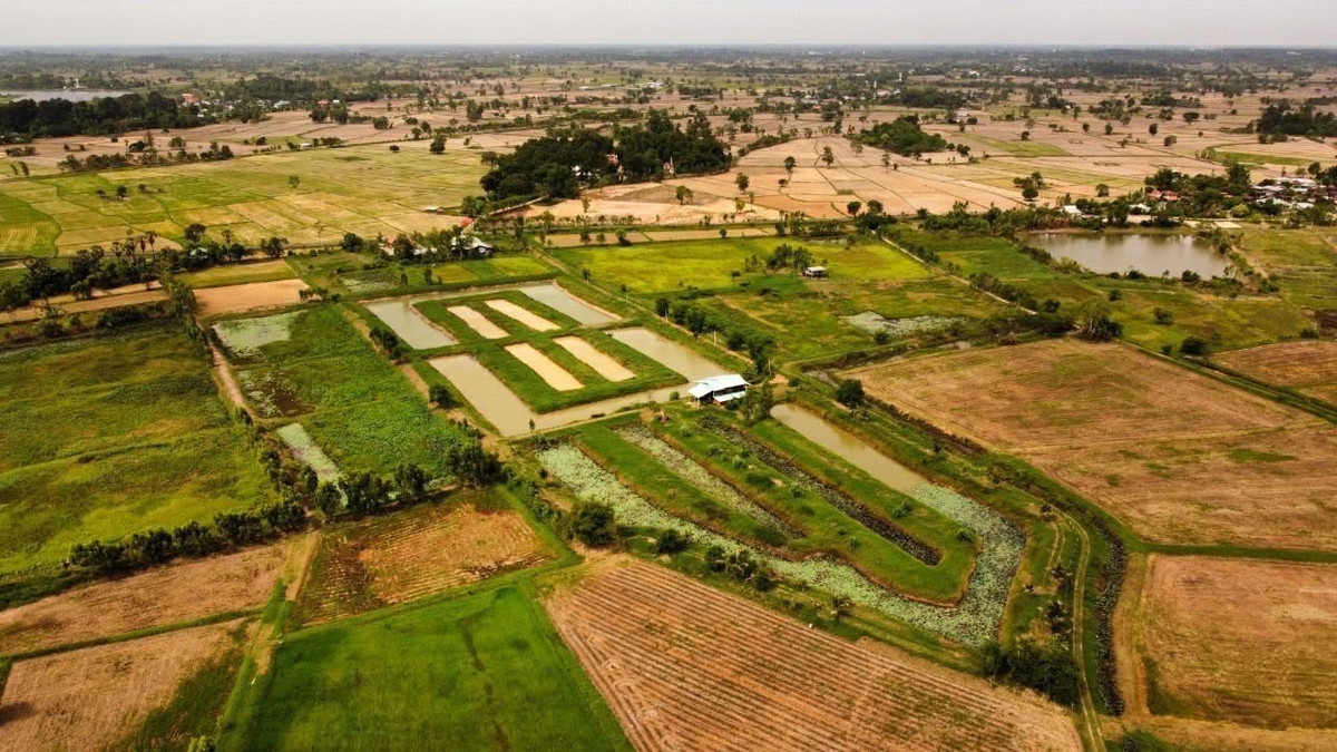 For SaleLandRoi Et : Roi Et Provincial Administrative Organization Road