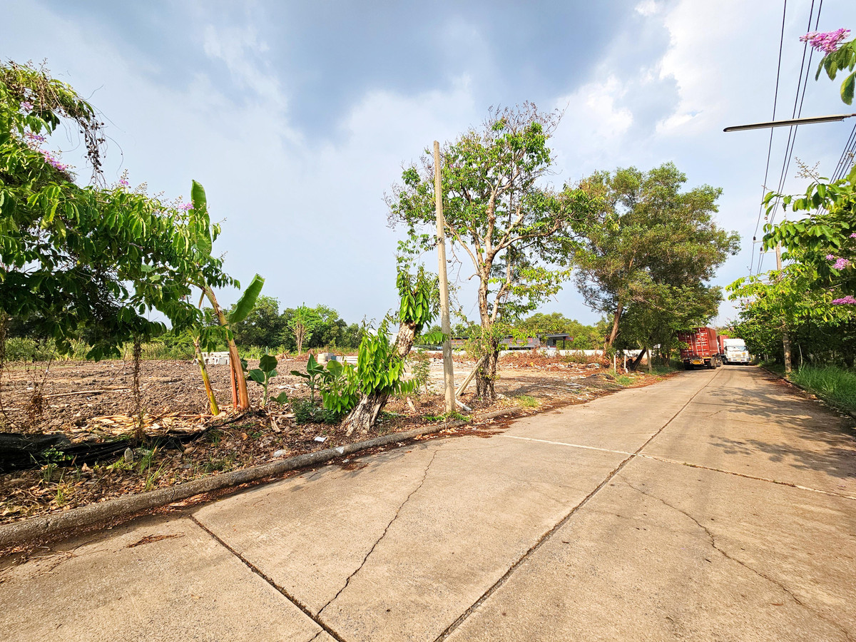 ขายที่ดินปทุมธานี รังสิต ธรรมศาสตร์ : ขาย ที่ดินเปล่า 6 ไร่ คลอง 3 อ.คลองหลวง ปทุมธานี ถมแล้ว แปลงสี่เหลี่ยมสวย 