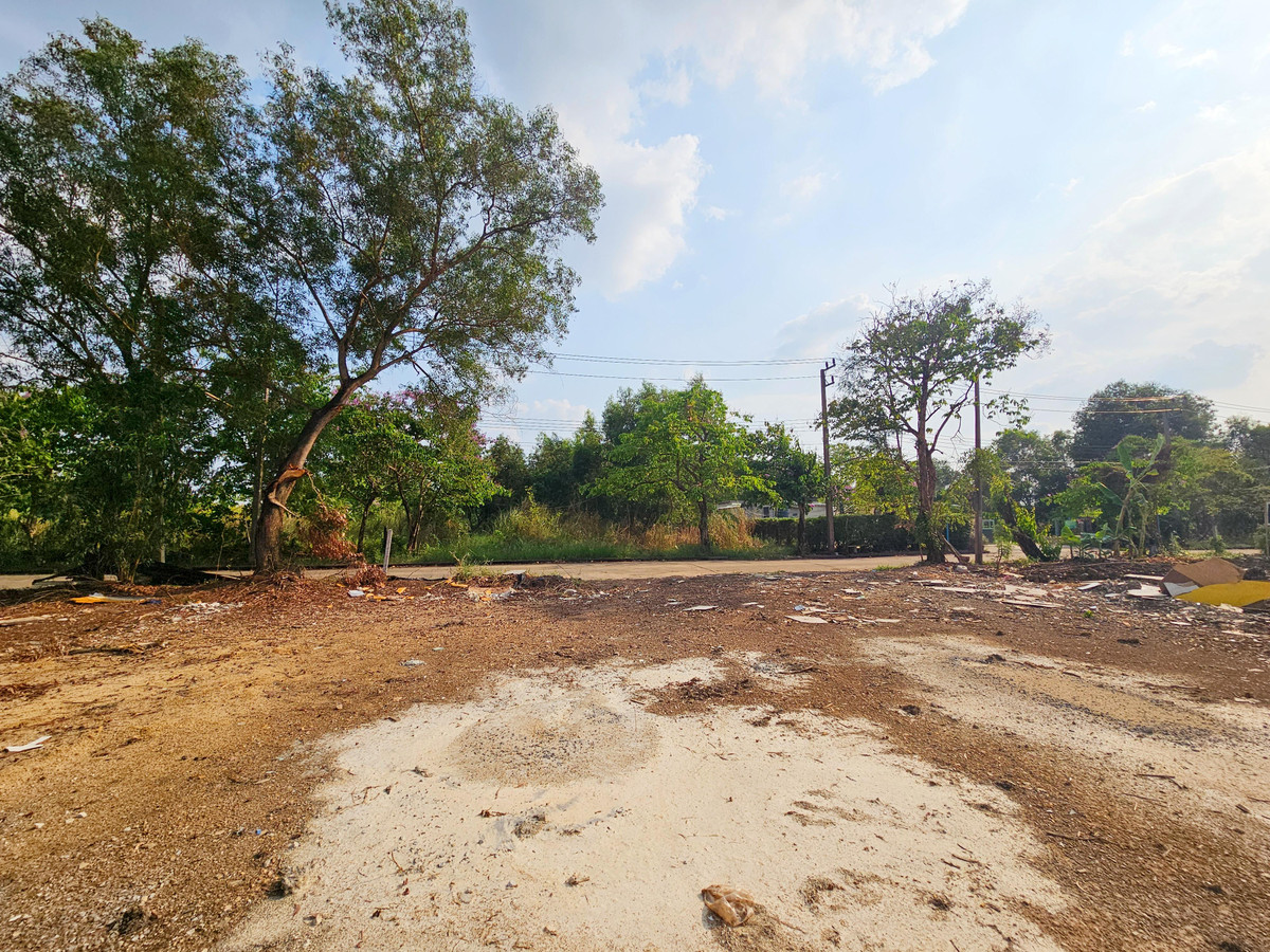 ขายที่ดินปทุมธานี รังสิต ธรรมศาสตร์ : ขาย ที่ดินเปล่า 6 ไร่ คลอง 3 อ.คลองหลวง ปทุมธานี ถมแล้ว แปลงสี่เหลี่ยมสวย 