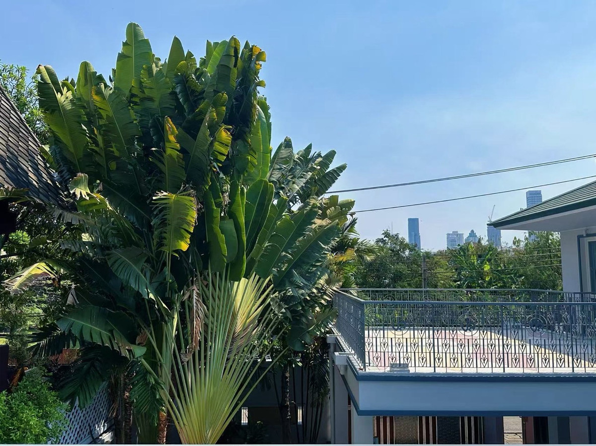 ให้เช่าสุขุมวิท อโศก ทองหล่อ : 🌈บ้านพูลวิลล่าเดี่ยว 3 ชั้น  พร้อมสระว่ายน้ำ 🎤