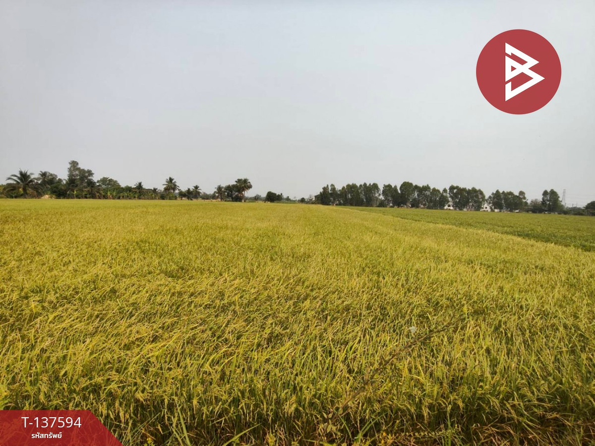 For SaleLandPhitsanulok : Land for sale, area 3 rai 1 ngan 65.8 square wah, Ban Krang Subdistrict, Phitsanulok.