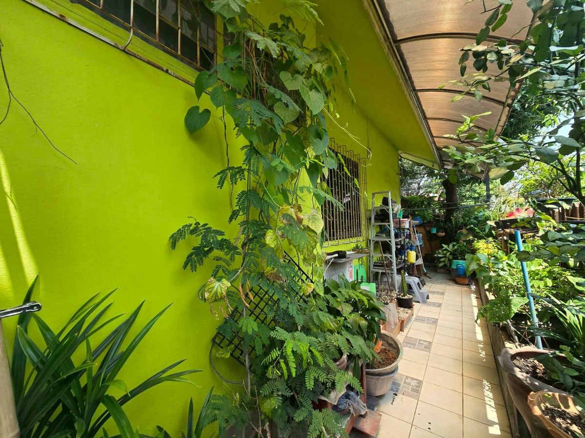 For SaleHouseOnnut, Udomsuk : Single house for sale, Sukhumvit 101, shady, suitable for living, near BTS Bang Chak (N.2041)