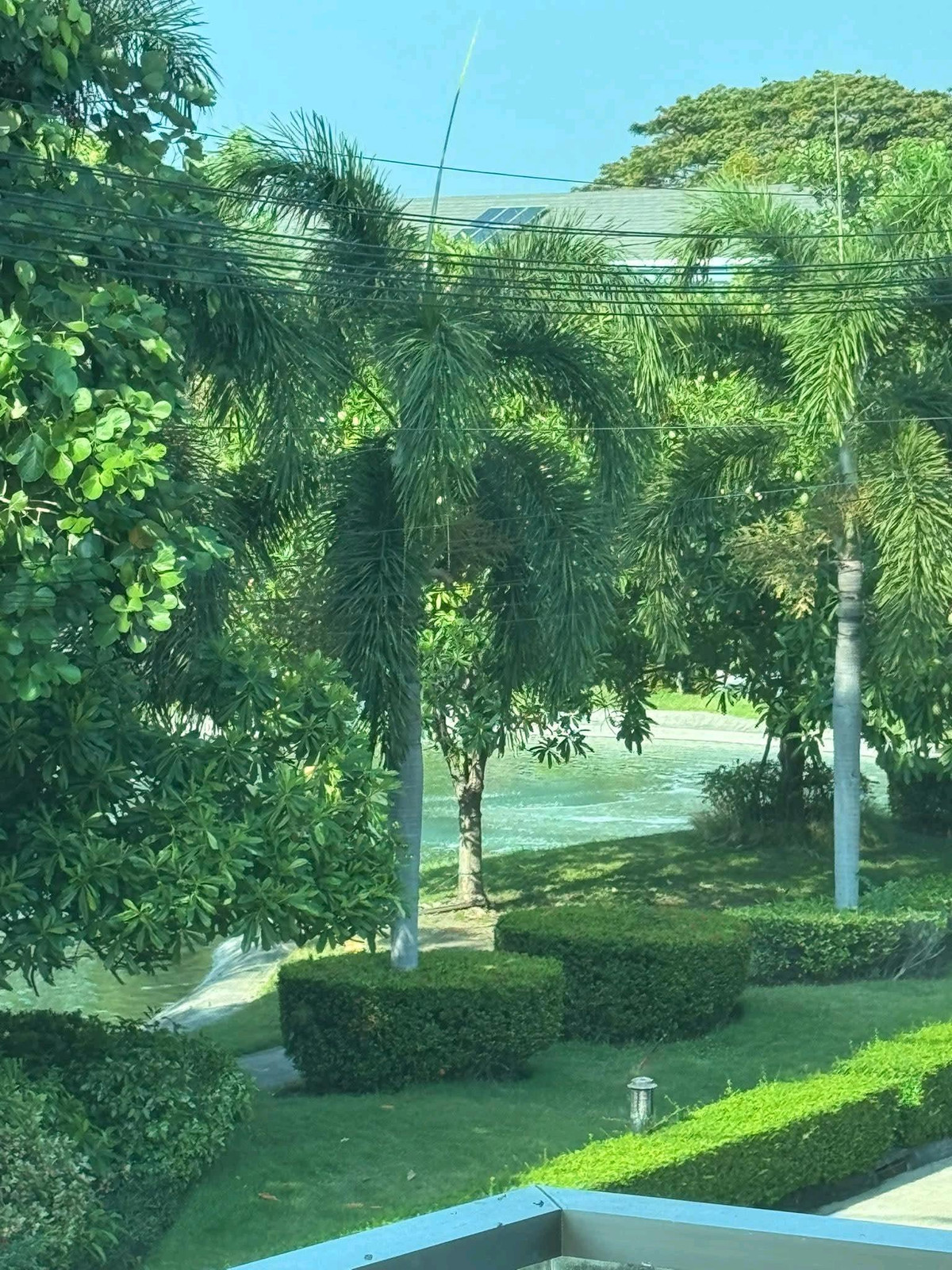 ขายบ้านลาดกระบัง สุวรรณภูมิ : บ้านเดี่ยวโครงการเพอร์เฟคมาสเตอร์พีซ สุขุมวิท 77 ใกล้สนามบินสุวรรณภูมิ