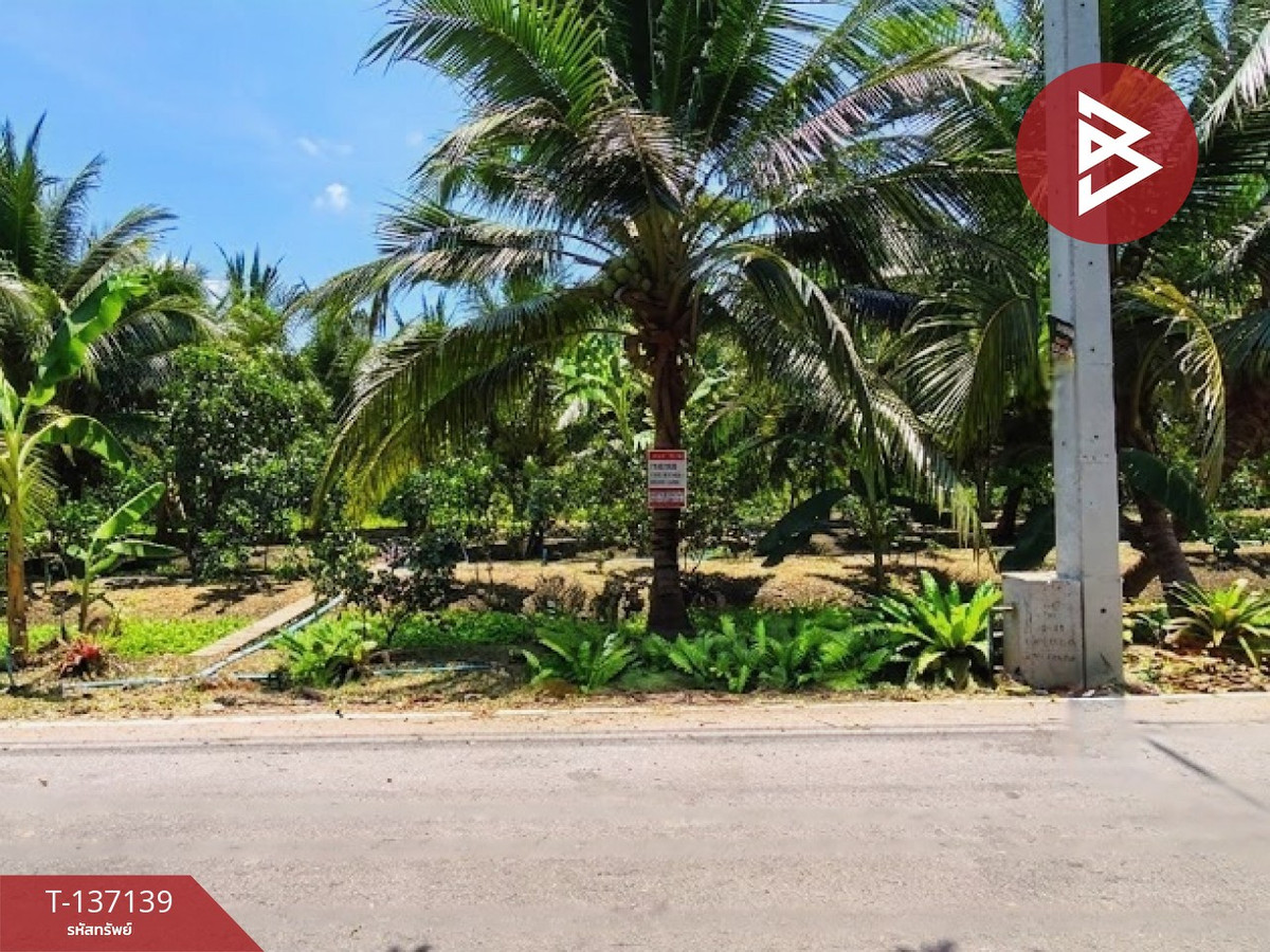 ขายที่ดินสมุทรสงคราม : ขายที่ดิน เนื้อที่ 1 ไร่ 36 ตร.วา อัมพวา สมุทรสงคราม