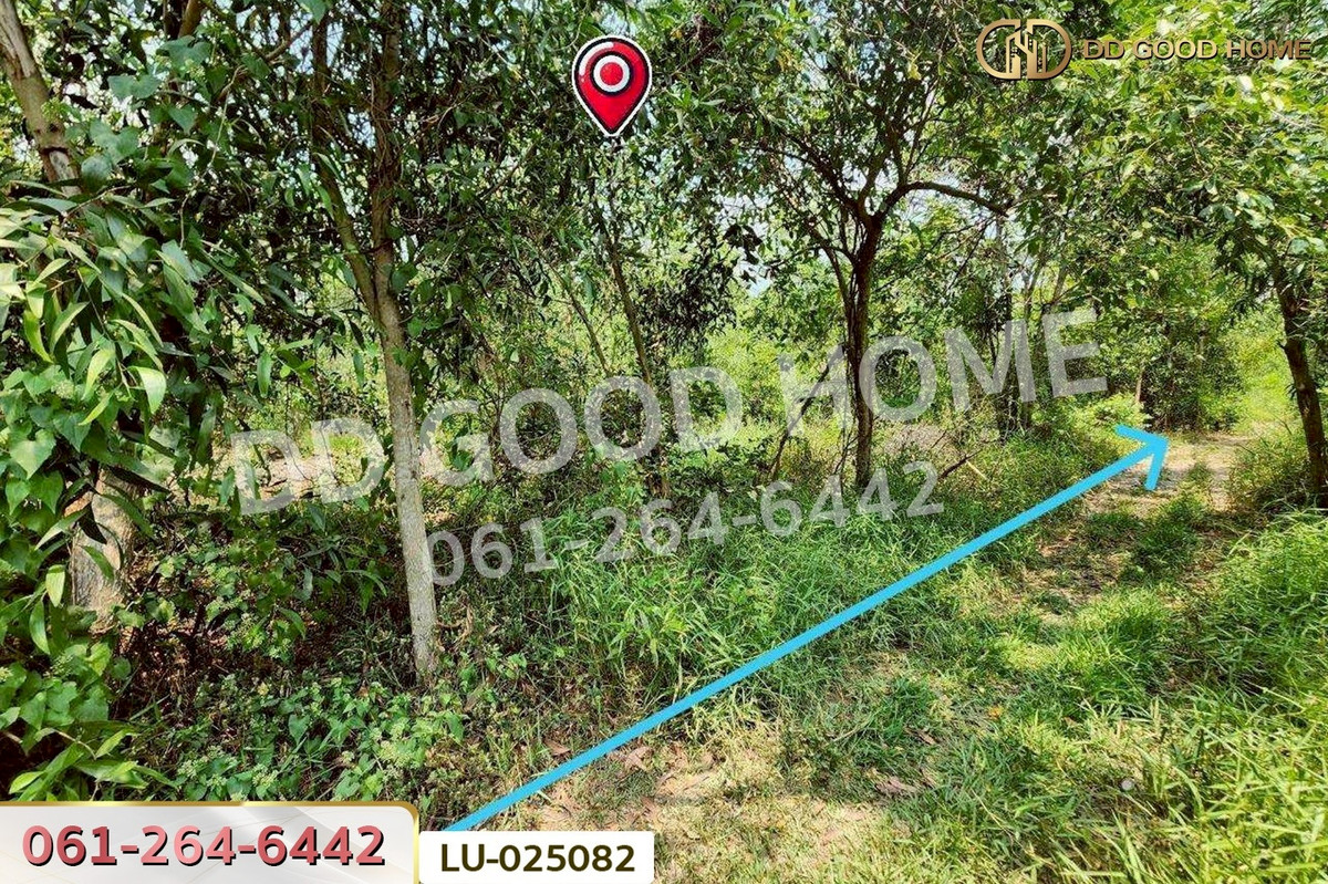 ขายที่ดินมีนบุรี-ร่มเกล้า : ที่ดินคลองสิบสอง 1 ไร่ 1 ตร.ว. หนองจอก ใกล้ศูนย์สุขภาพโรงพยาบาลเวชการุณย์รัศมิ์ LU-025082