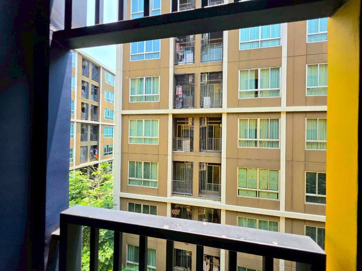 ให้เช่าคอนโดปทุมธานี รังสิต ธรรมศาสตร์ : ให้เช่า! ห้องใหม่ ไม่เคยมีผู้เช่า dcondo Shine รังสิต ✨ Rare Item ส่วนตัวสุดๆ ไม่มีห้องตรงข้าม เฟอร์-เครื่องใช้ไฟฟ้าครบ หิ้วกระเป๋าเข้าอยู่ได้เลย! 