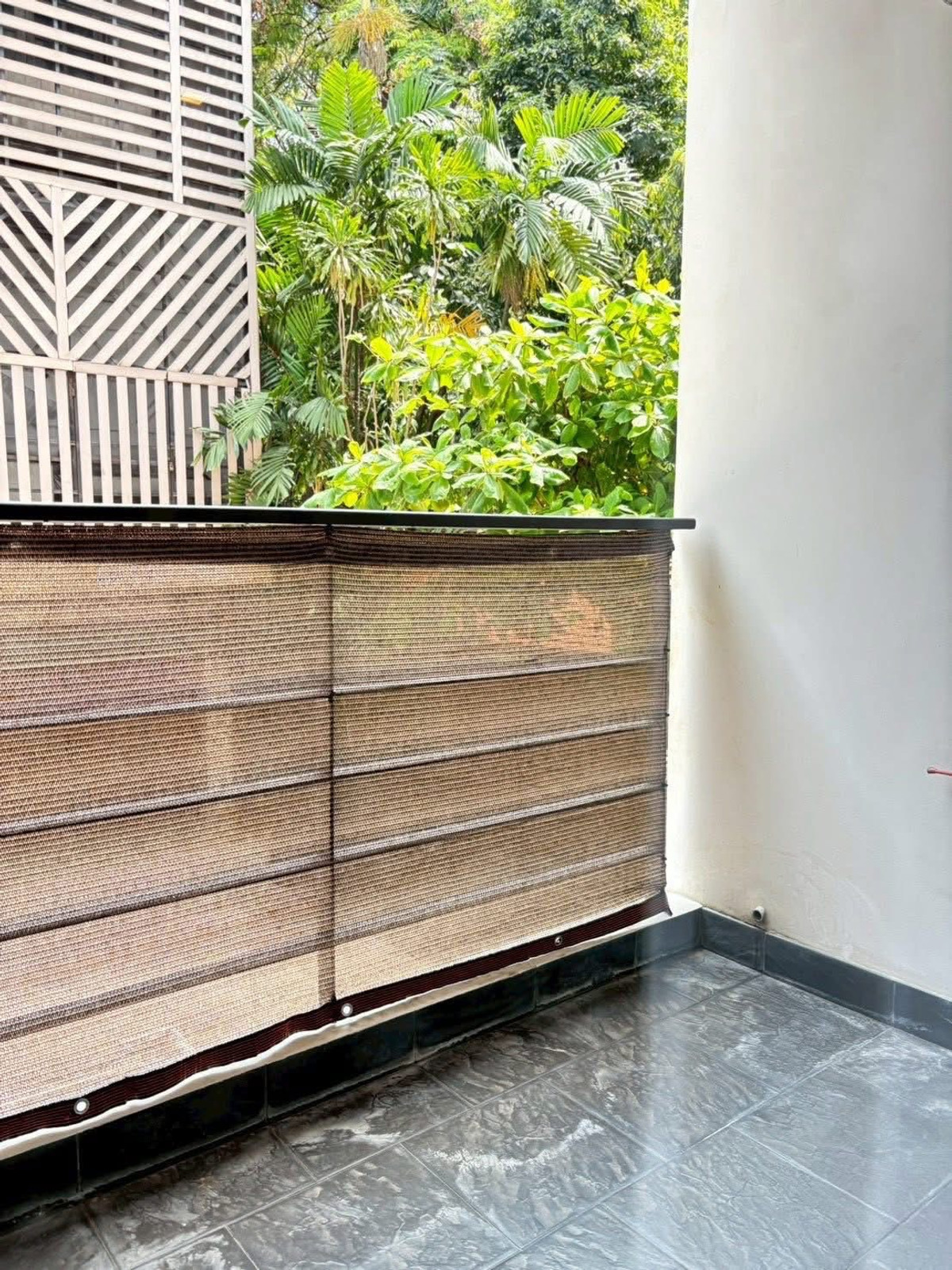 For SaleCondoSukhumvit, Asoke, Thonglor : Tree Condo Sukhumvit 42 / 2 Bedrooms (FOR SALE), Tree Condo Sukhumvit 42 / 2 Bedrooms (For Sale) MMK056