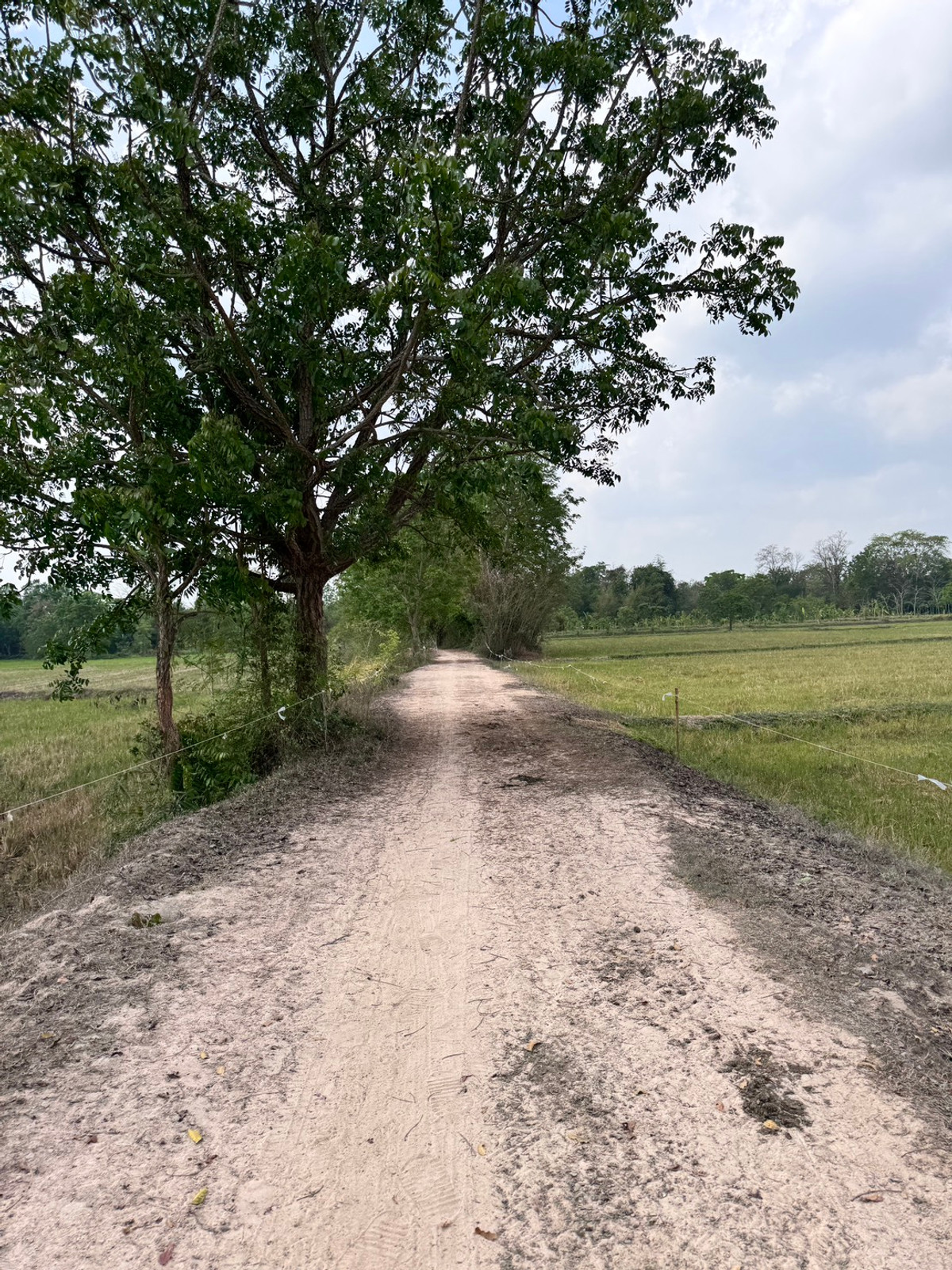 For SaleLandUthai Thani : [Land for sale very cheap] It is a rice field on an area of ​​23 rai 2 ngan, inexpensive price in the land of Nong Chang District, Uthai Thani.