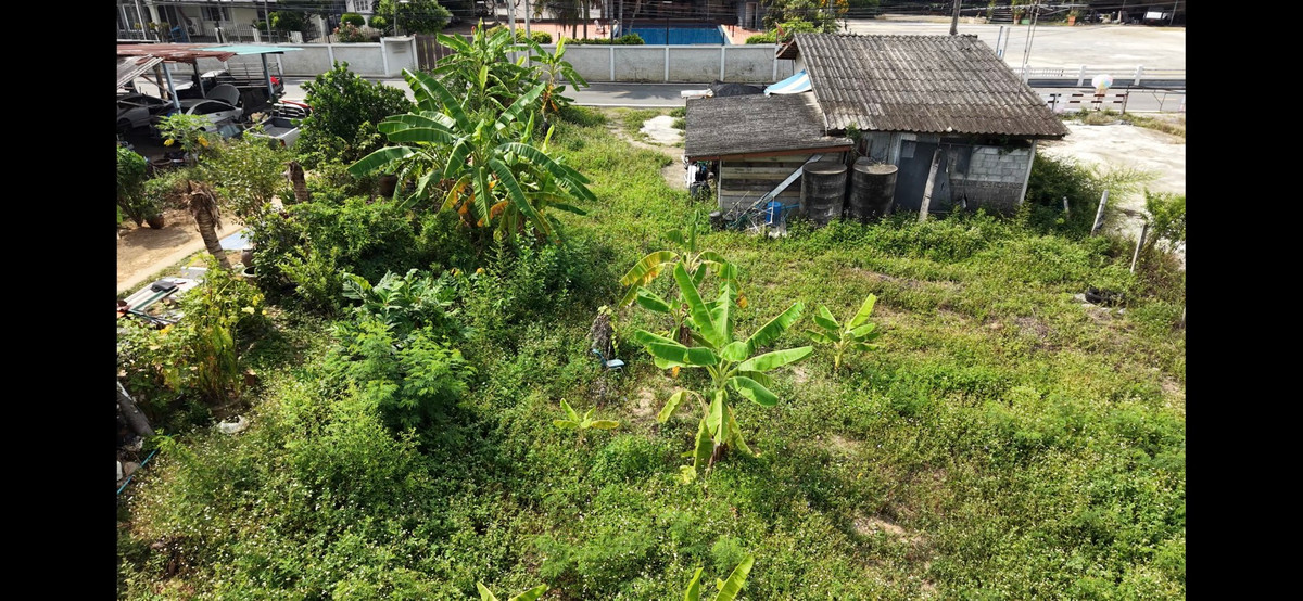 ขายที่ดินพัทยา บางแสน ชลบุรี สัตหีบ : ที่ดินสัตหีบ ซอย19 ห่างจากถนนสุขุมวิทเพียง 15 เมตร ทำเลดี ห่างจากพัทยา 20 นาที 