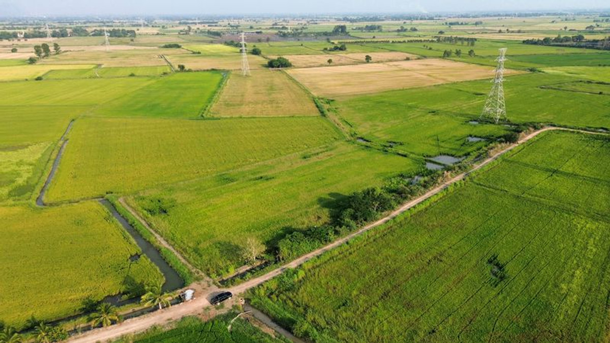For SaleLandLop Buri : Rice field 8-2-29 rai, near Ban Klap Railway Station, Don Pho Subdistrict, Mueang District, Lopburi Province.