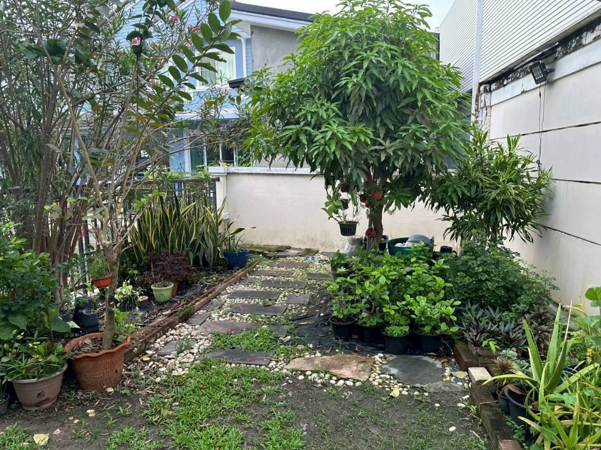 ให้เช่าบ้านบางแค เพชรเกษม : เช่าบ้านเดี่ยว 2 ชั้น | 3 ห้องนอน 3 ห้องน้ำ  หมู่บ้านนันทวัน สาธร ราชพฤกษ์