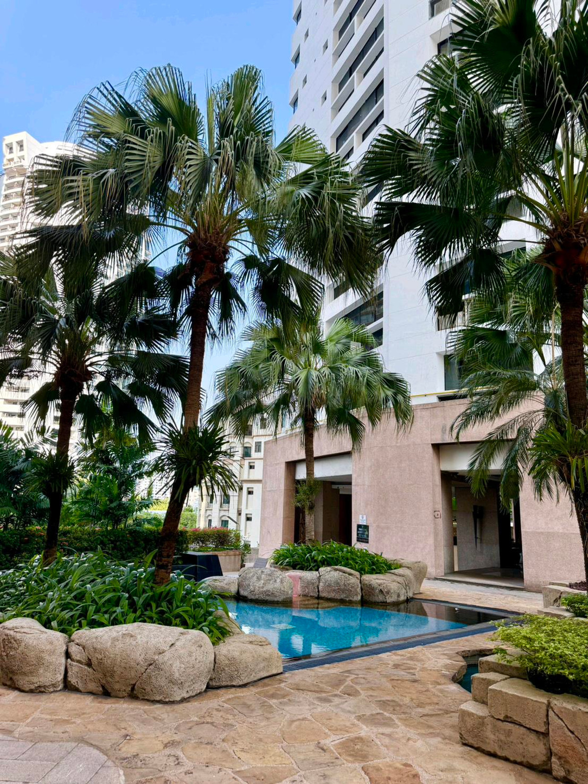 For RentCondoSukhumvit, Asoke, Thonglor : 🐶🐱Super Spacious  Pet Friendly Condo near BTS Prompong?🐶🐱