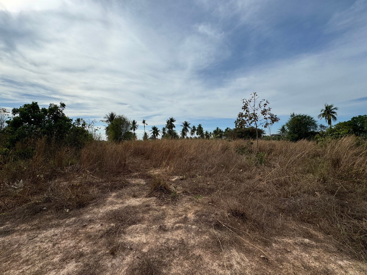 ขายที่ดินพัทยา บางแสน ชลบุรี สัตหีบ : ขาย!!! ที่ดิน 1 ไร่ 3 งาน 21 ตารางวา ซอยวัดเวฬุวนาราม (กอไผ่) ต.ตะเคียนเตี้ย อ.บางละมุง จ.ชลบุรี