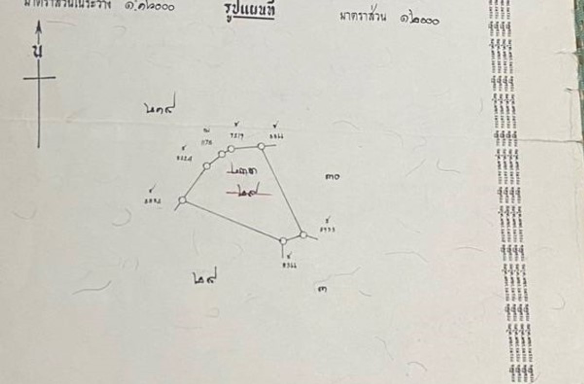 ขายที่ดินนครนายก : ขายที่ดิน ใน องครักษ์, นครนายก, แปลงเปล่า ทำเลสวย อยู่ใกล้แหล่งชุมชน เหมาะสำหรับ การเกษตรทำสวน ใกล้ธรรมชาติ  สามารถสร้างบ้านพักอาศัย โรงเรือนเกษตรหรือรีสอร์ทขนาดเล็กได้ องครักษ์, นครนายก, บางปลากด,