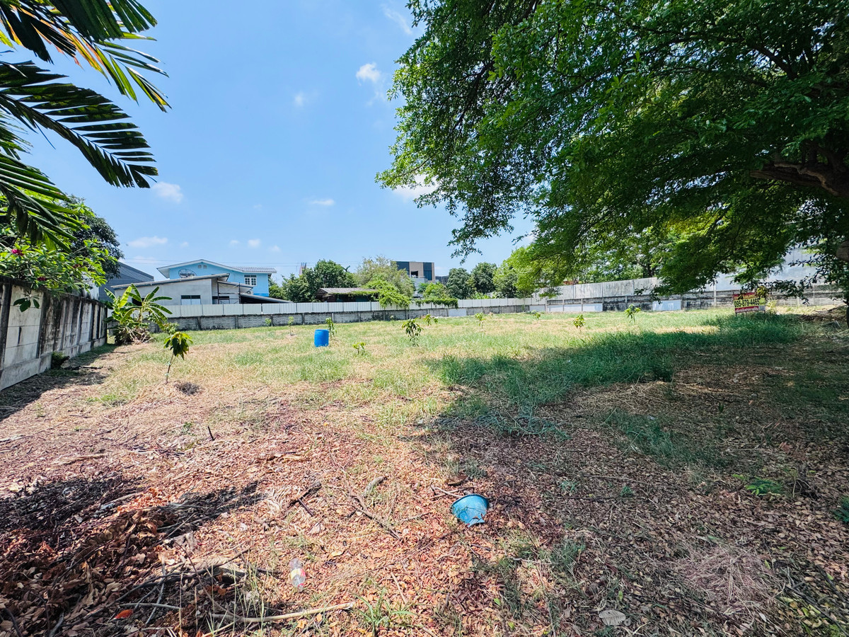 ขายที่ดินบางนา แบริ่ง ลาซาล : ราคาดีที่สุด ที่ดินแปลงสวย ในโครงการ วินด์มิลล์ พาร์ค (Windmill Park) บางนา