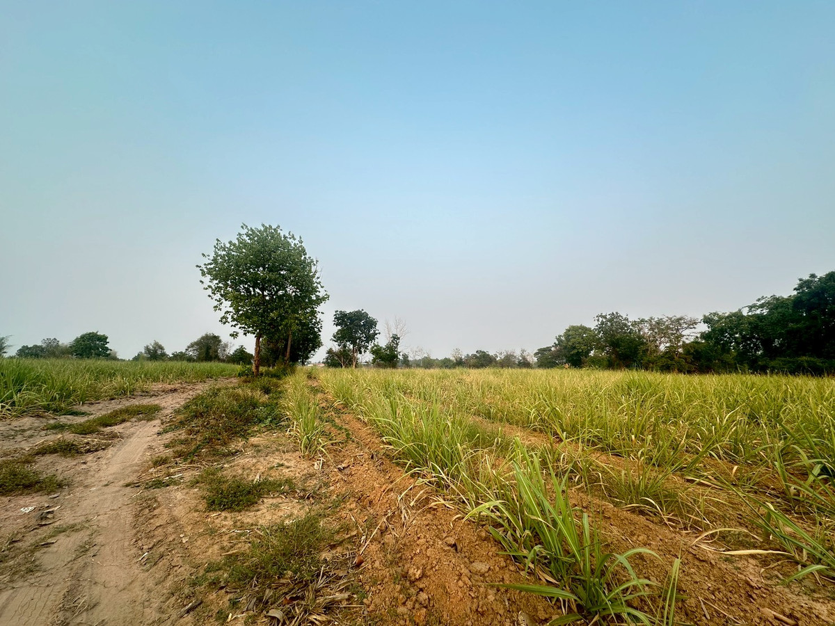 ขายที่ดินขอนแก่น : ขายที่ดิน ติดถนนมิตรภาพขอนแก่น