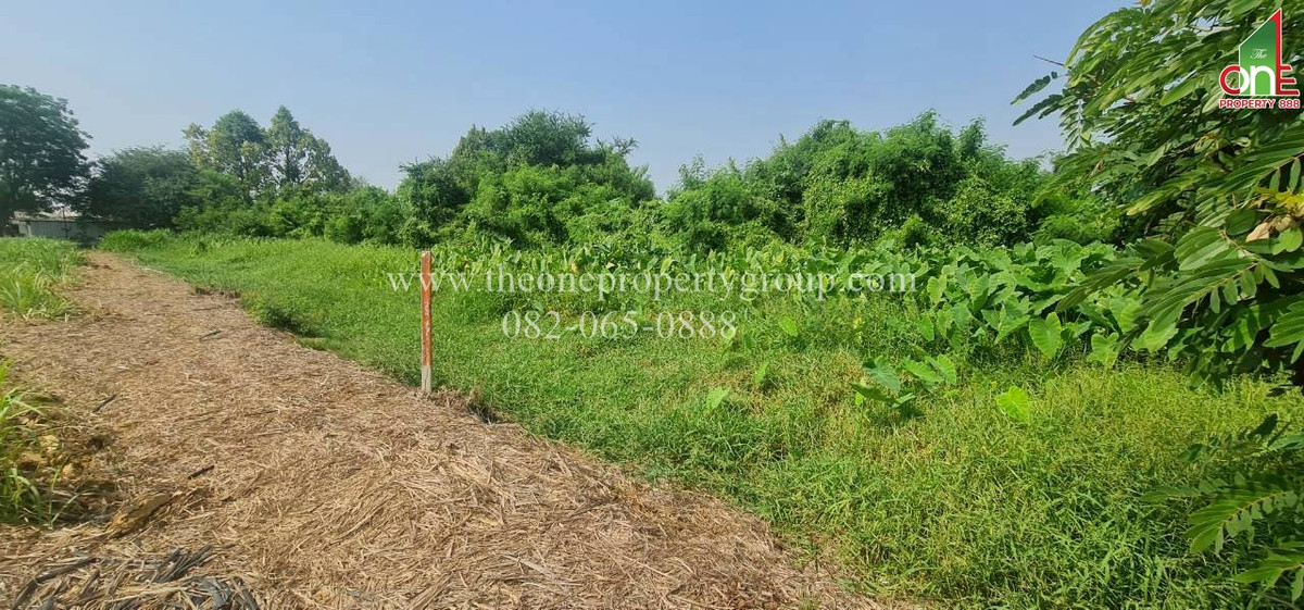 ขายที่ดินนครปฐม : ที่ดิน 1-2-58.8 ไร่ ยังไม่ถม ถ.มาลัยแมน ถ.เลียบคลองประปา ต.บ้านยาว อ.เมืองนครปฐม จ.นครปฐม