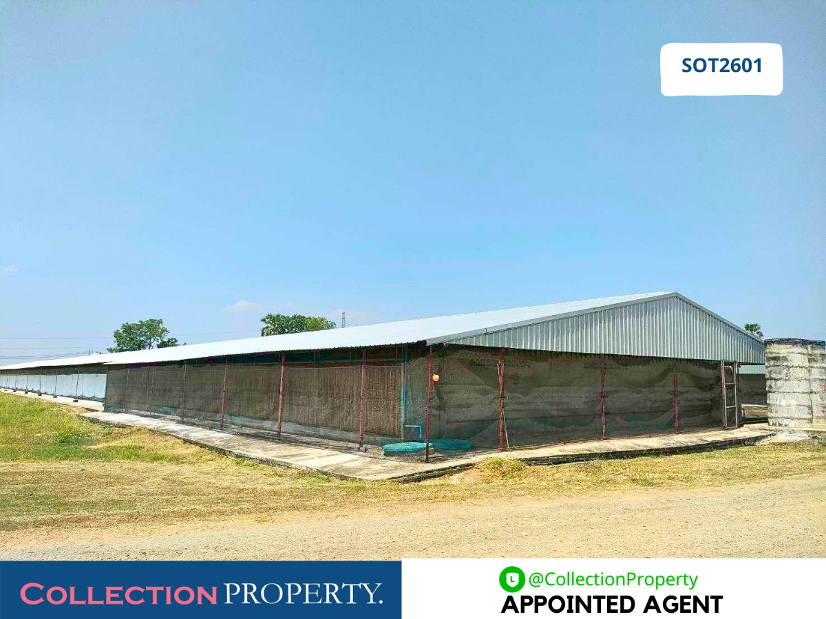 For SaleHotel&Apartment BusinessSaraburi : 🐓 URGENT SALE! Fully Operational Standard Chicken Farm with 91+ Rai of Land – Saraburi 🚜