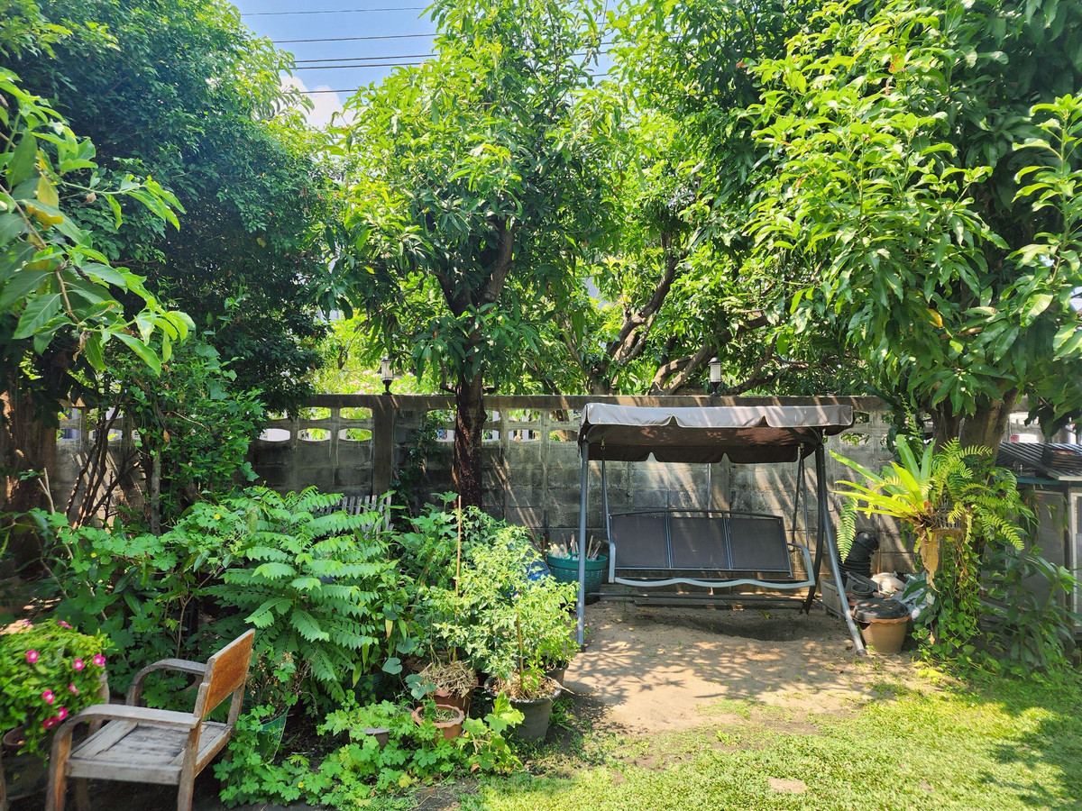 ขายบ้านเกษตร นวมินทร์ ลาดปลาเค้า : ขายบ้านเดี่ยว 99 ตร.วา หมู่บ้านเสนานิเวศน์โครงการ 2 หลัง นวมินทร์ ซิตี้ อเวนิว