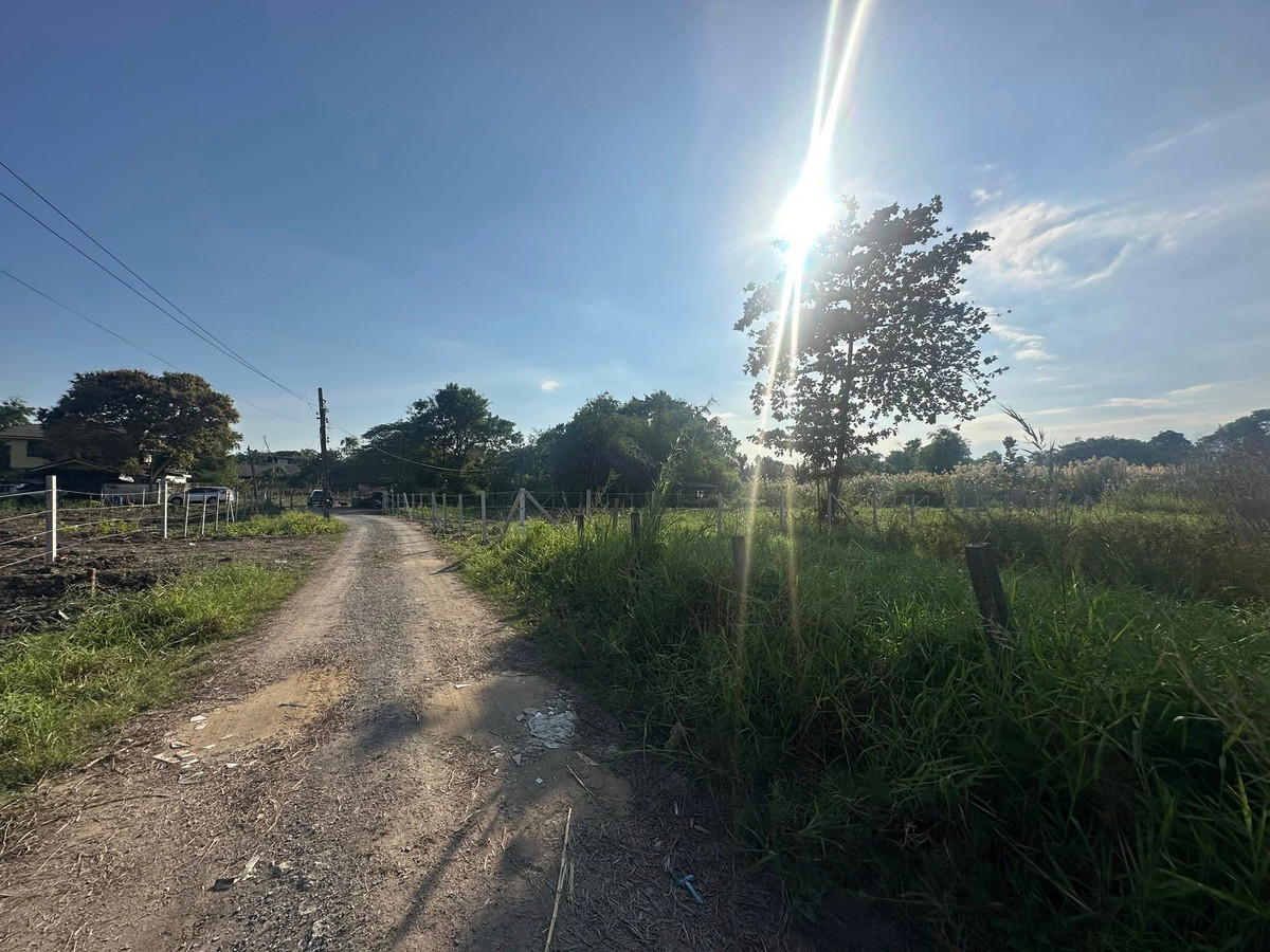 ให้เช่าที่ดินมีนบุรี-ร่มเกล้า :  ให้เช่าที่ดินทำเลดี สุวินทวงศ์ 58 (หนองจอก)