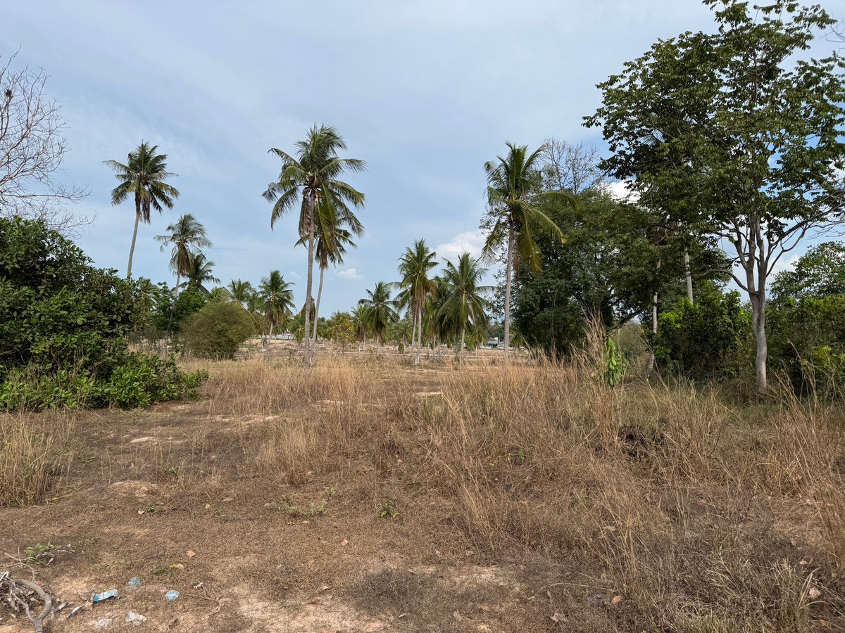 ขายที่ดินพัทยา บางแสน ชลบุรี สัตหีบ : ขาย!!! ที่ดิน 1 ไร่ 3 งาน 21 ตารางวา ซอยวัดเวฬุวนาราม (กอไผ่) ต.ตะเคียนเตี้ย อ.บางละมุง จ.ชลบุรี