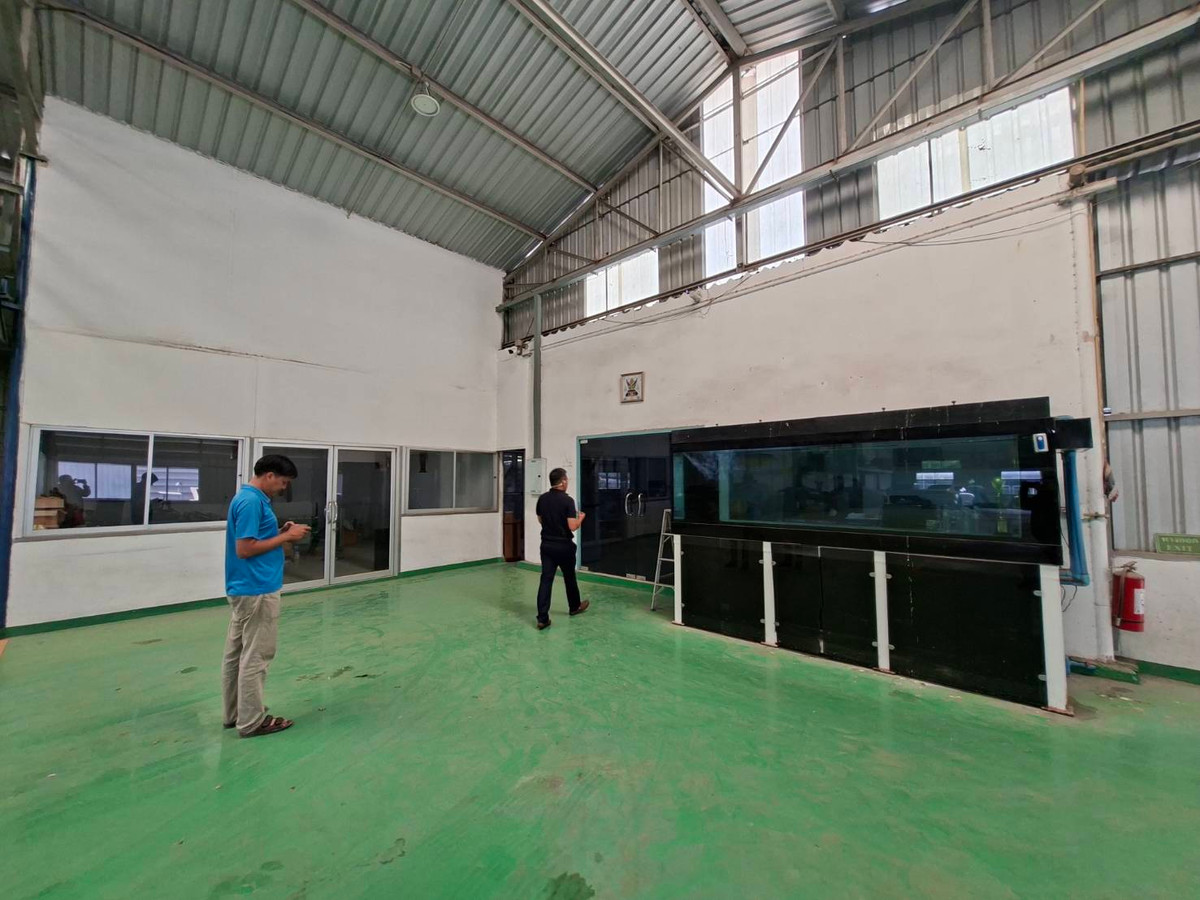 ขายโกดังพัทยา บางแสน ชลบุรี สัตหีบ : อาคารโกดัง พร้อมสิ่งปลูกสร้าง ซอย ชากยายจีน ถนน ทุ่งศุขลา ตำบล ทุ่งสขลา อำเภอศรีราชา ชลบุรี ⚡ราคาถูก! 25,000,000 บาท⚡