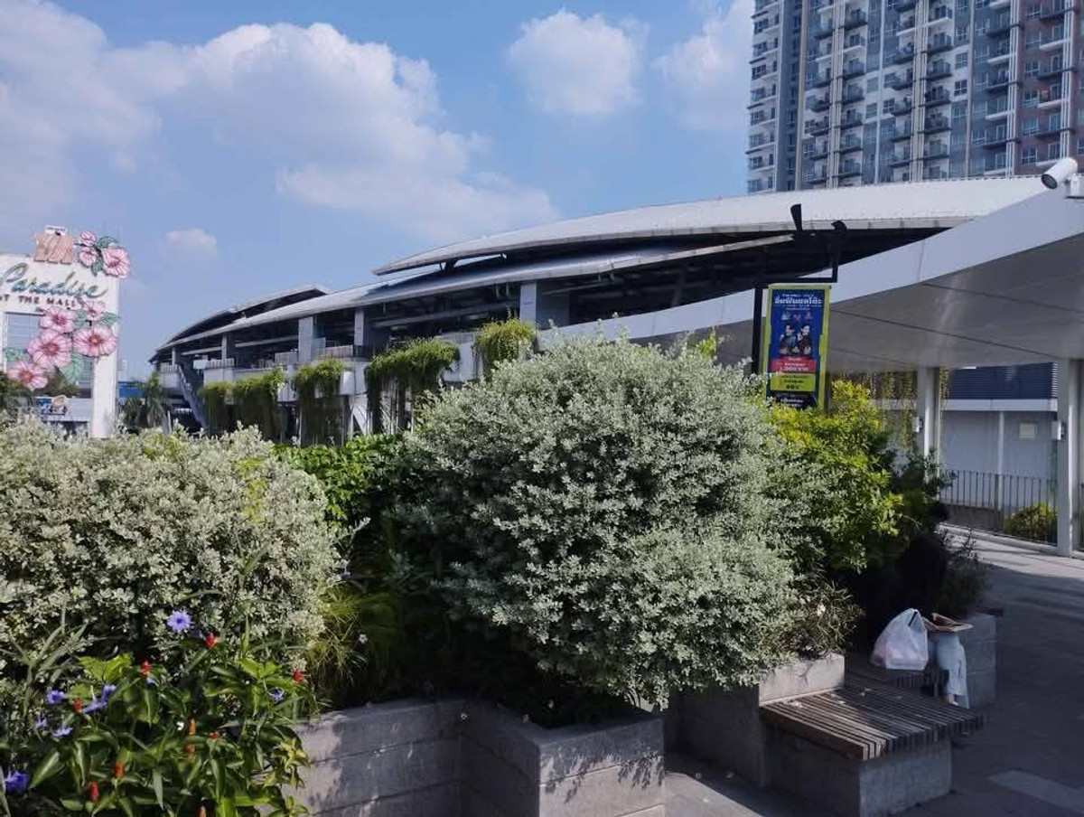 For RentCondoBang kae, Phetkasem : #E325 (previous code S2323) 🎉 020469 Condo for Rent at The Parkland Phetkasem Condominium