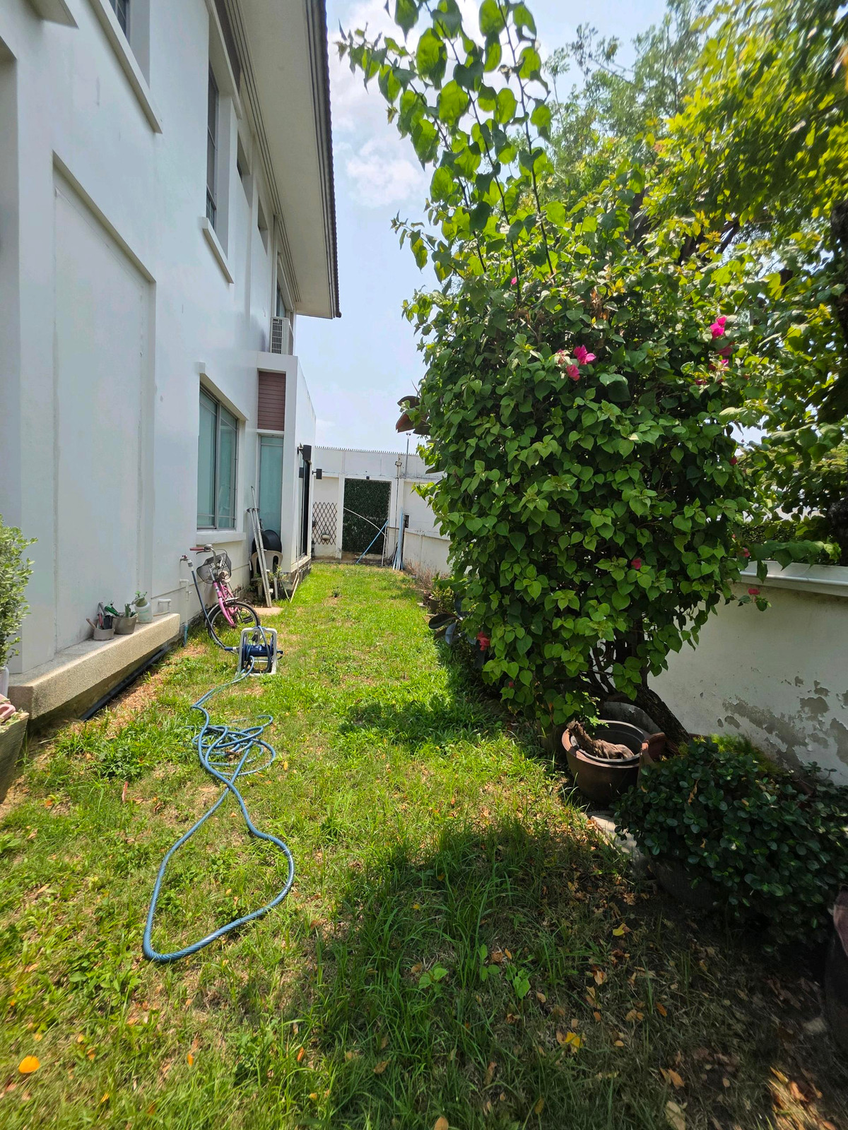 ให้เช่าบ้านลาดกระบัง สุวรรณภูมิ : บ้านเดี่ยว มัณฑนา 2 วงแหวน-อ่อนนุช (Mantana 2 Wongwaen-Onnut)