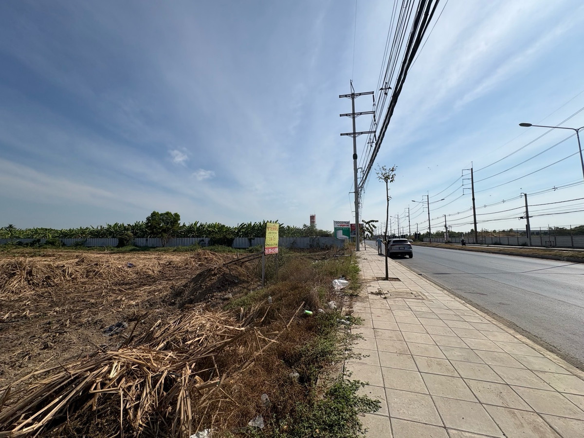 ขายที่ดินปทุมธานี รังสิต ธรรมศาสตร์ : ขายที่ดินติดถนนใหญ่ 4 เลน ถ.ลำลูกกา คลอง 7 -ธัญบุรี (ปท 3004)