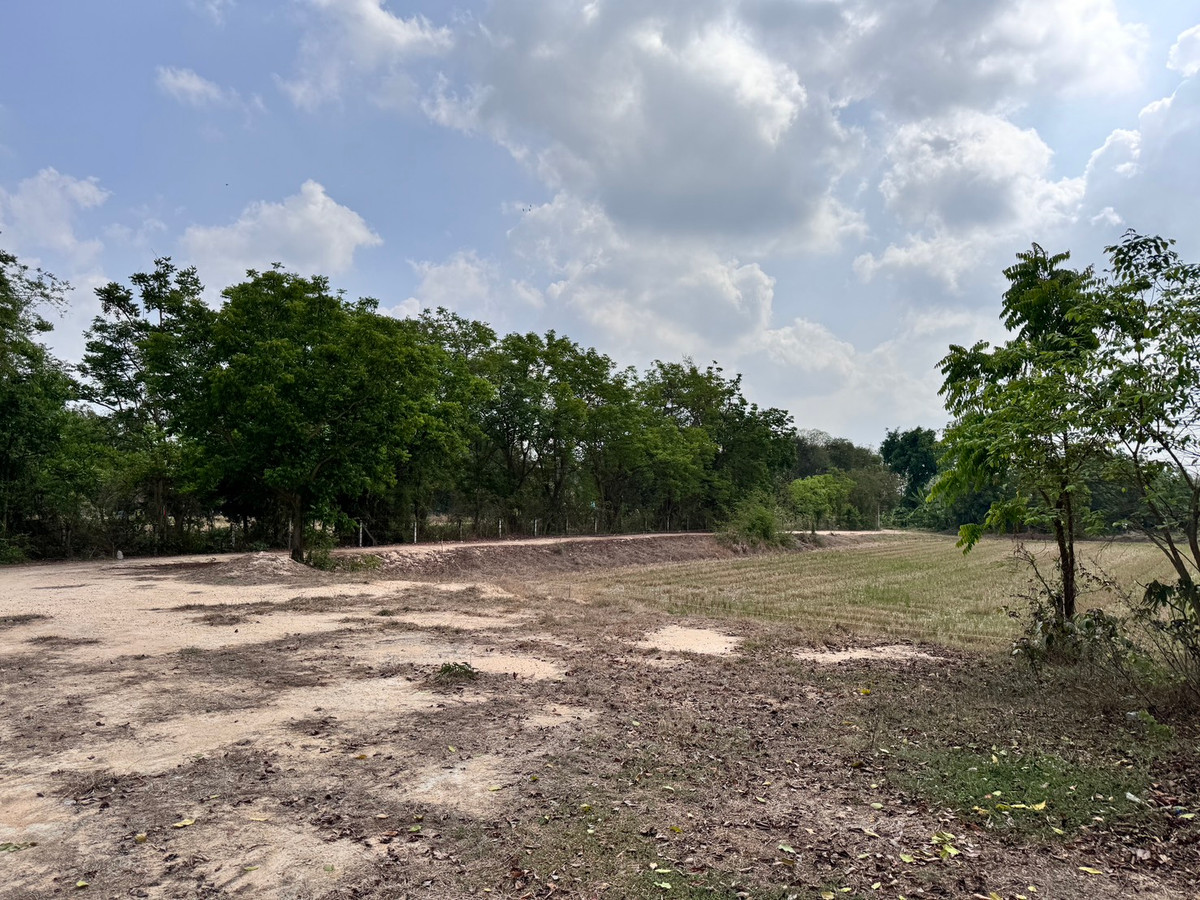For SaleLandUthai Thani : [Land for sale very cheap] It is a rice field on an area of ​​23 rai 2 ngan, inexpensive price in the land of Nong Chang District, Uthai Thani.