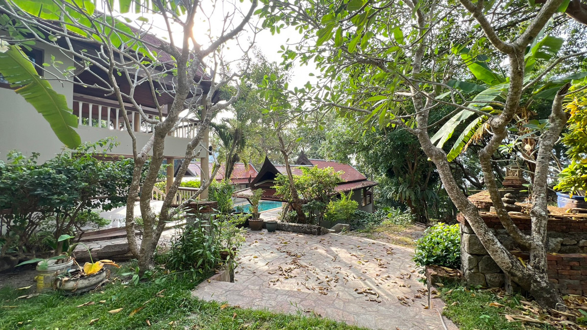 ขายบ้านภูเก็ต : ขายบ้านพร้อมที่ดินป่าตอง ที่ดิน 3 ไร่ 