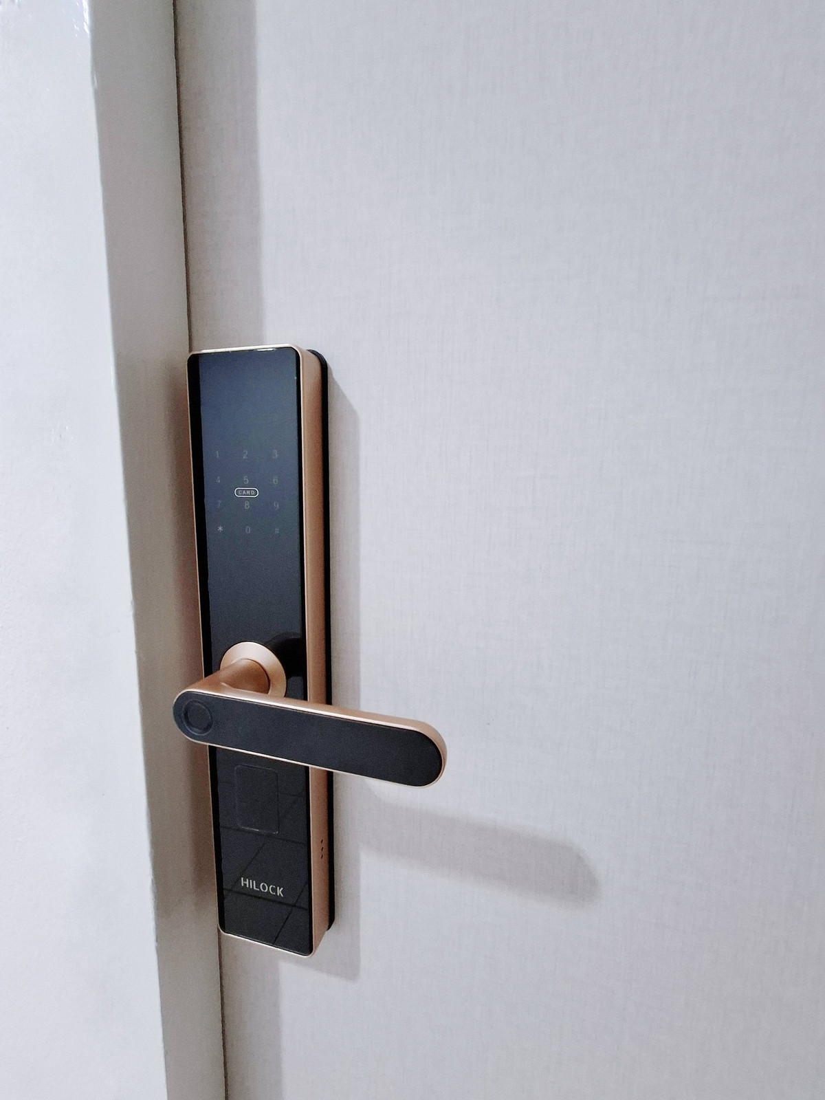 CondoBangna, Bearing, Lasalle : The Executive Bangna (Srinakarin 56)  1 bed big size for rent