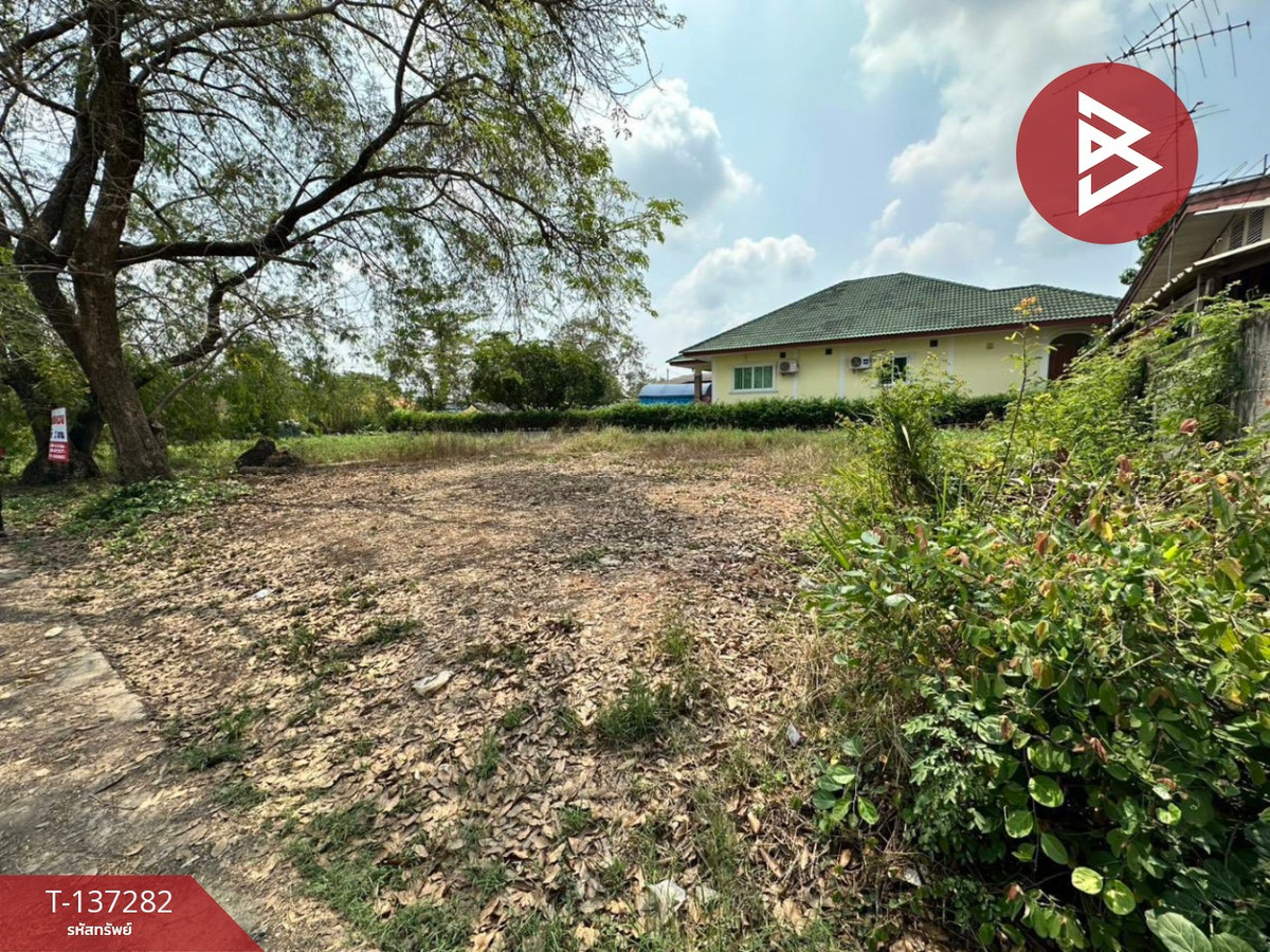 ขายที่ดินสระบุรี : ขายที่ดิน เนื้อที่ 2 งาน หนองแค สระบุรี