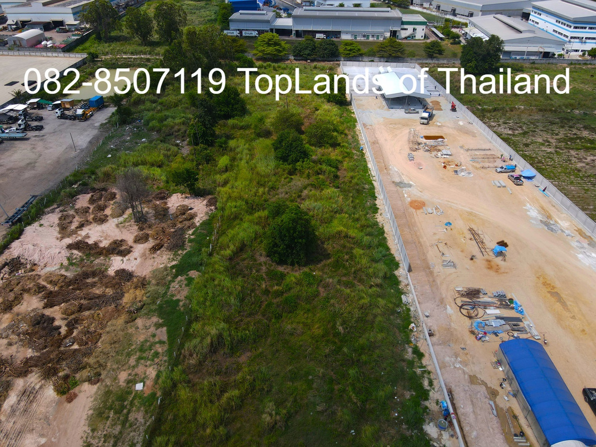 ขายที่ดินศรีราชา แหลมฉบัง บ้านบึง : ขาย ที่ดิน ศรีราชา แหลมฉบัง ผังสีม่วง (ใกล้ท่าเรือ และนิคมอุตสาหกรรม 2 แห่ง) เนื้อที่ 6 ไร่ ถนนกว้าง 8-12 m. เหมาะสร้าง โกดัง คลังสินค้า โรงงานอุตสาหกรรม