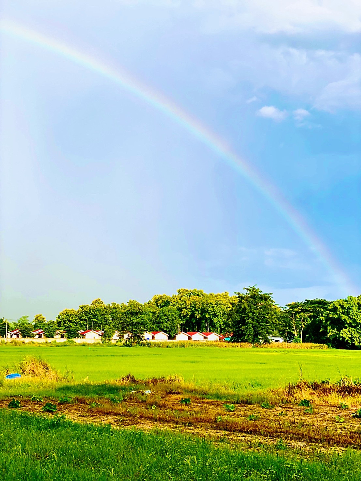 ขายที่ดินเชียงราย : ขายที่ดิน ทำเลทอง บ้านดู่ อ.เมือง จ.เชียงราย 17 ไร่ ๆ ละ 4 ล้าน ใกล้สนามบิน ม.ราชภัฏ สร้างหอพัก หมู่บ้านได้ ทำเลที่พักอาศัย