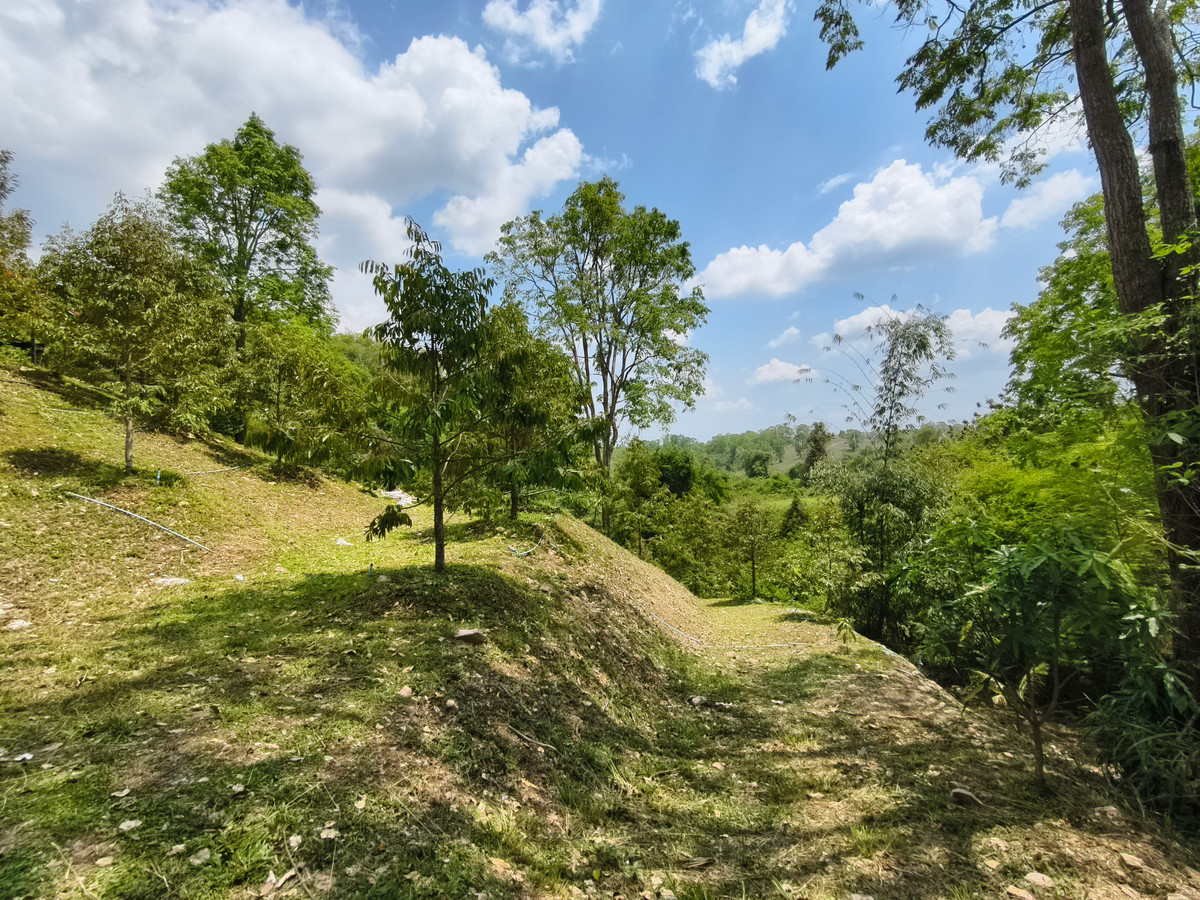 ขายที่ดินโคราช นครราชสีมา : ขายด่วน บ้านสวน พร้อมทุเรียน 2 ไร่  วังน้ำเขียว ติดวัดป่าปฏิบัติธรรม ทำเลดี อากาศบริสุทธิ์