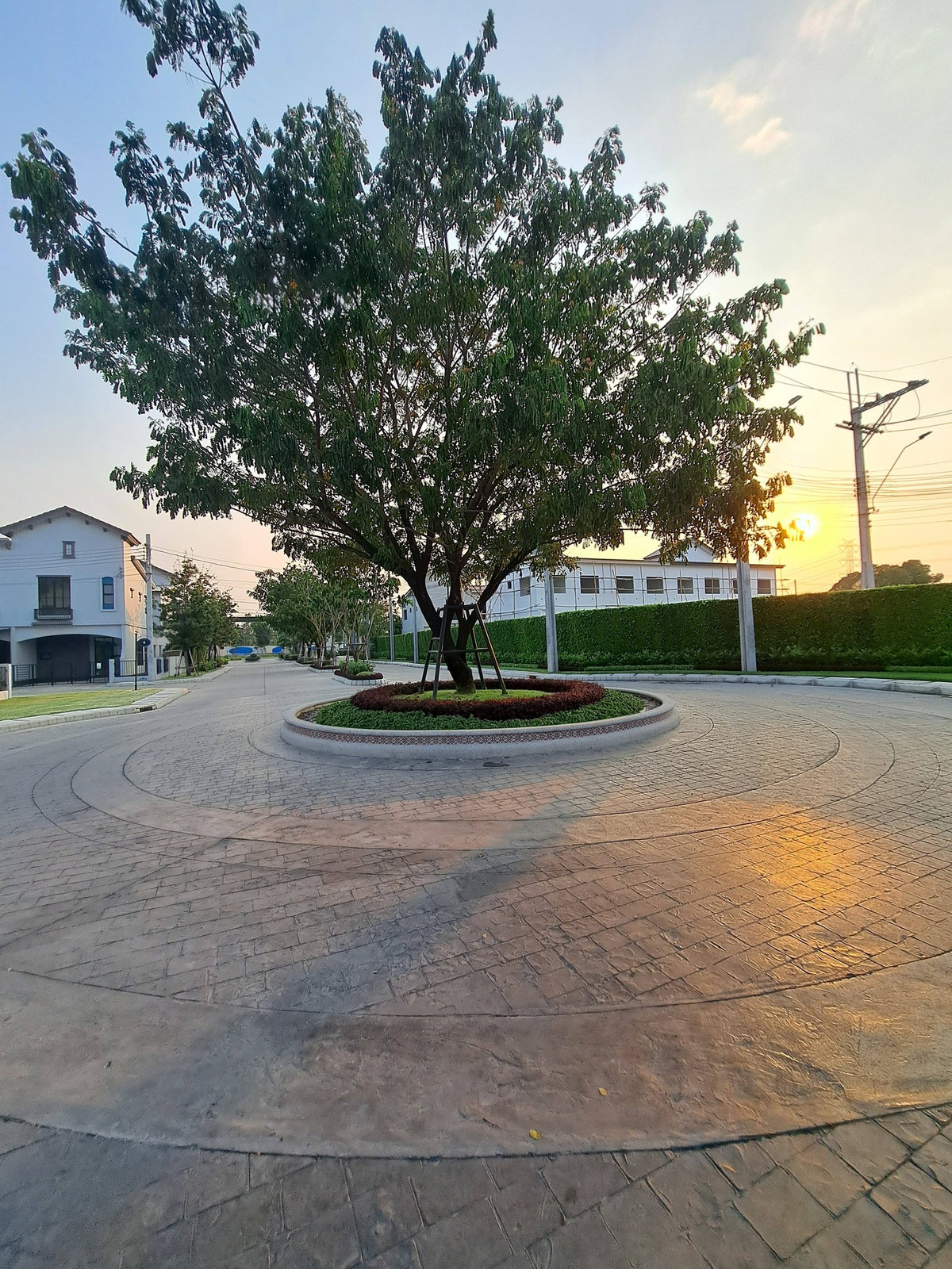 ให้เช่าทาวน์โฮมมีนบุรี-ร่มเกล้า : S04-0110 Townhome for Rent: Anasiri Ramkhamhaeng