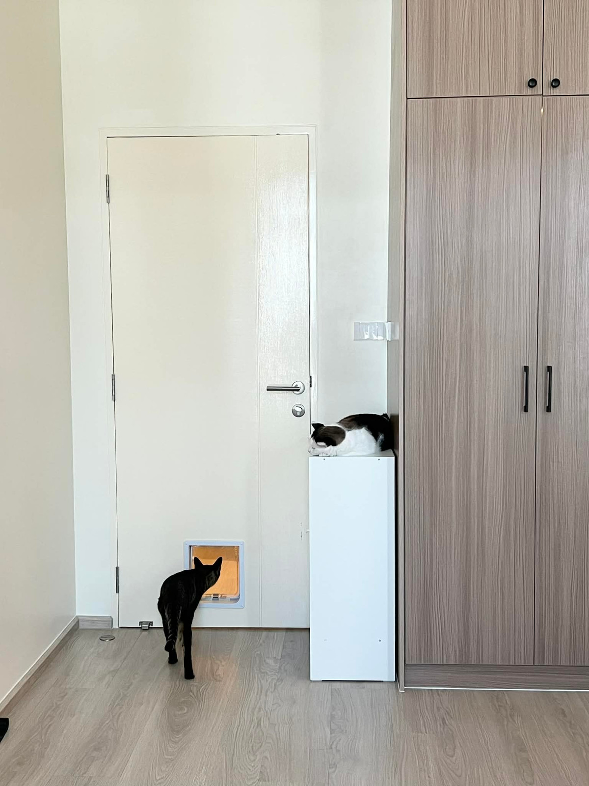 ให้เช่าทาวน์โฮมบางนา แบริ่ง ลาซาล : 🐶🐱ทาวน์โฮมให้เช่า : Villaggio 3 ศรีนครินทร์ – บางนา | เฟอร์ครบ พร้อมอยู่ *Pet-Friendly*