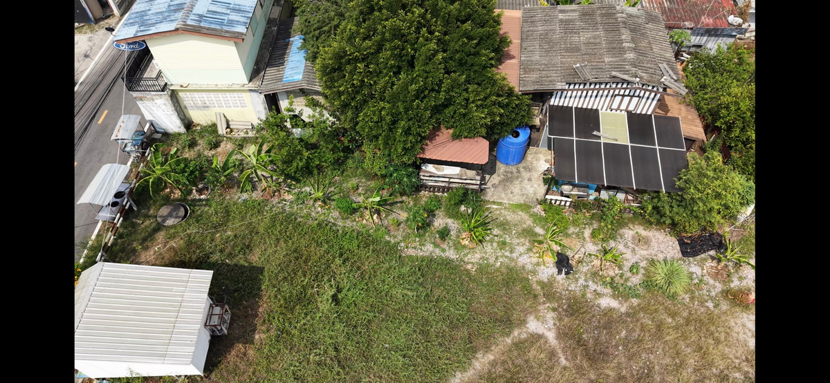 ขายที่ดินพัทยา บางแสน ชลบุรี สัตหีบ : ที่ดินสัตหีบ ซอย19 ห่างจากถนนสุขุมวิทเพียง 15 เมตร ทำเลดี ห่างจากพัทยา 20 นาที 