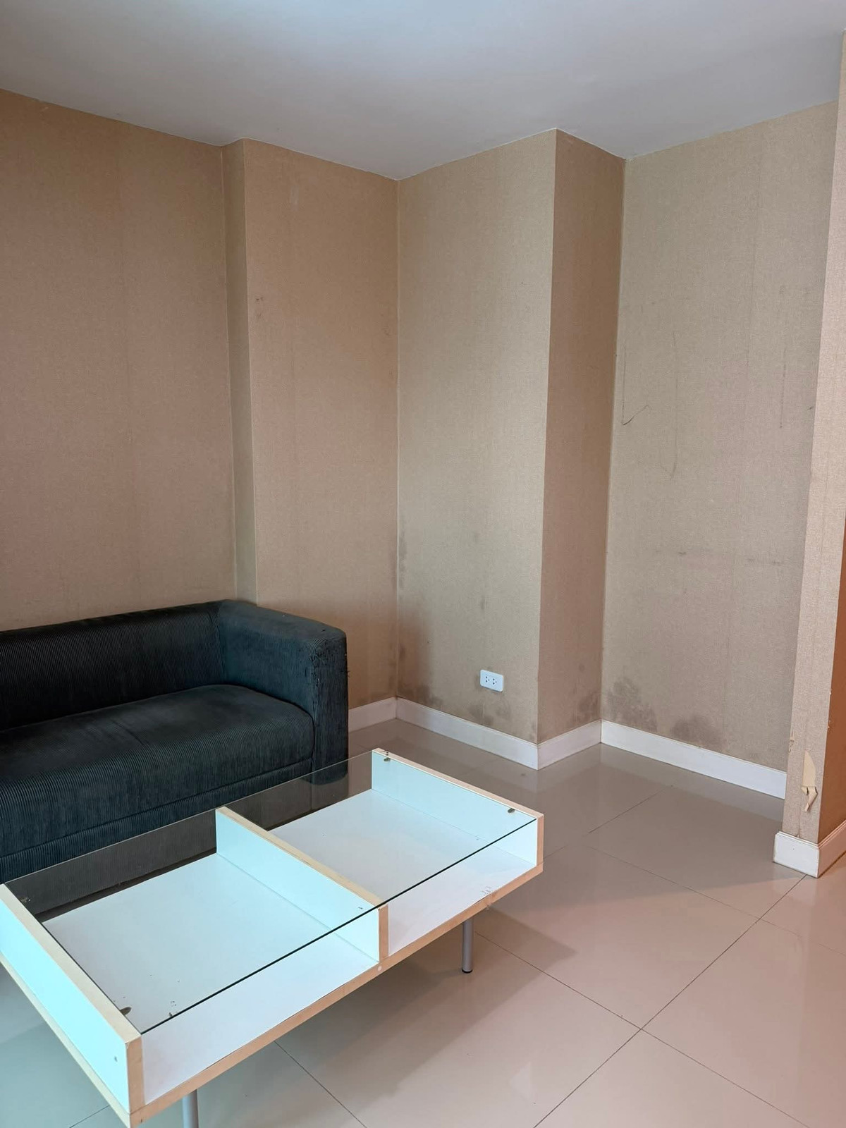 ให้เช่าคอนโดบางนา แบริ่ง ลาซาล : ให้เช่าคอนโดเลี้ยงสัตว์ได้ Swift Condo เอแบค บางนา Pet Firendly พร้อมอยู่