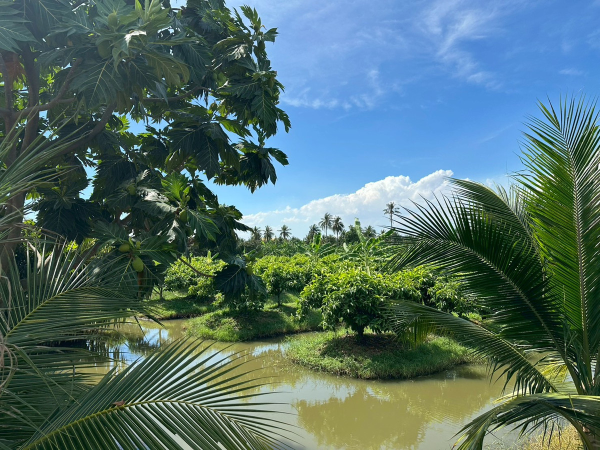 For SaleLandBang kae, Phetkasem : Empty land for sale, Soi Ruam Yat, area 8-0-72 rai, good location, convenient travel, access to water and electricity.