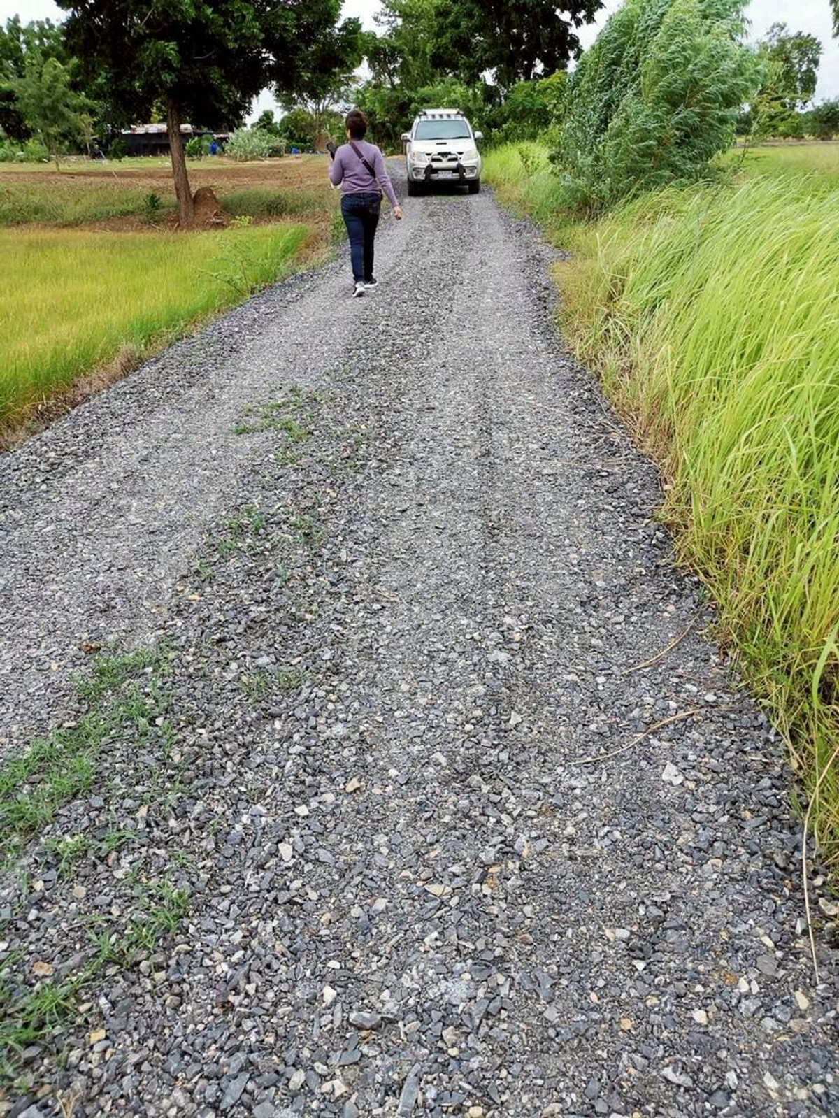 For SaleLandNakhon Sawan : Land for sale 64-0-48 rai, Huai Tan Nuea Subdistrict, Nong Bua District, Nakhon Sawan Province.