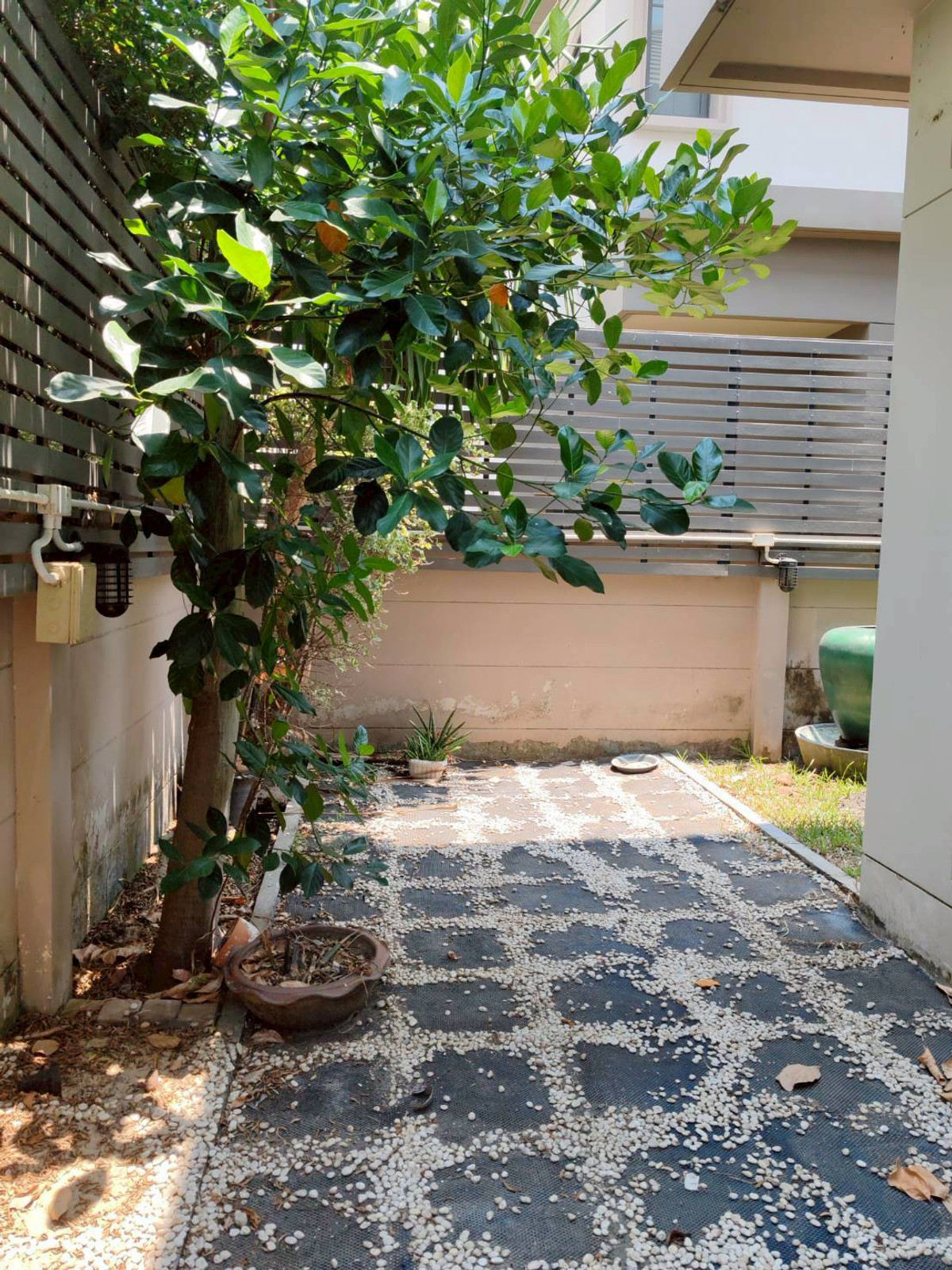 ขายบ้านแจ้งวัฒนะ เมืองทอง : 291AGKI ขายขาดทุน ถูกที่สุด!! บ้านเดี่ยว บางกอก บูเลอวาร์ด แจ้งวัฒนะ 2 ฺBangkok Boulevard Chaengwattana 2 