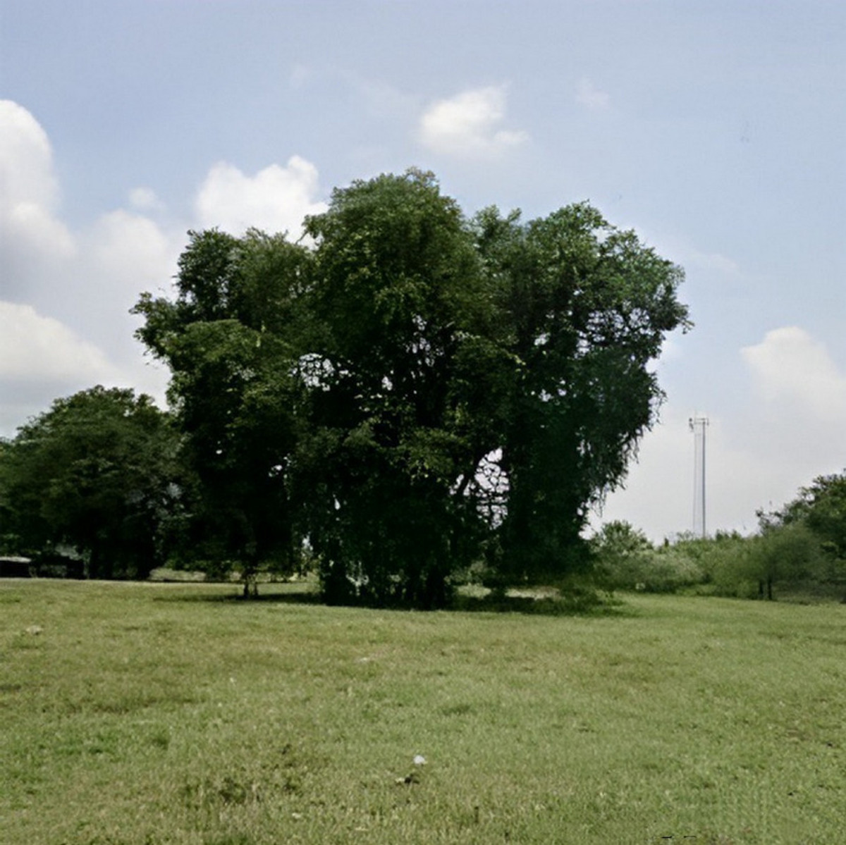 ขายที่ดินสระแก้ว : สอบถามโทร : 064-556-2499 ขายที่ดินติดถนนสุวรรณศร อำเภอวัฒนานคร จังหวัดสระแก้ว 43 ไร่เศษ ทำเลทอง ใกล้ตัวเมืองสระแก้ว ใกล้เขตเศรษฐกิจพิเศษ (เจ้าของขายเอง)